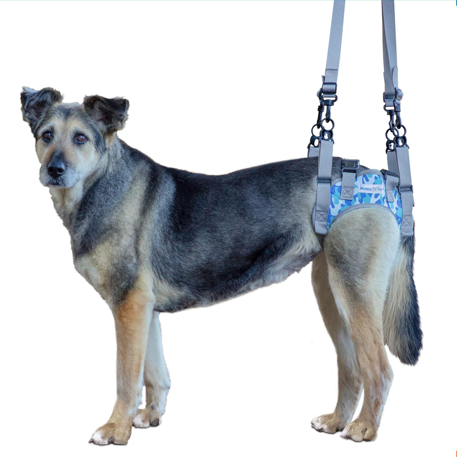 Walkin’ Warrior – Arnés trasero para perro para movilidad, asas ajustables, arnés para perros mayores y mascotas que se recuperan de una cirugía