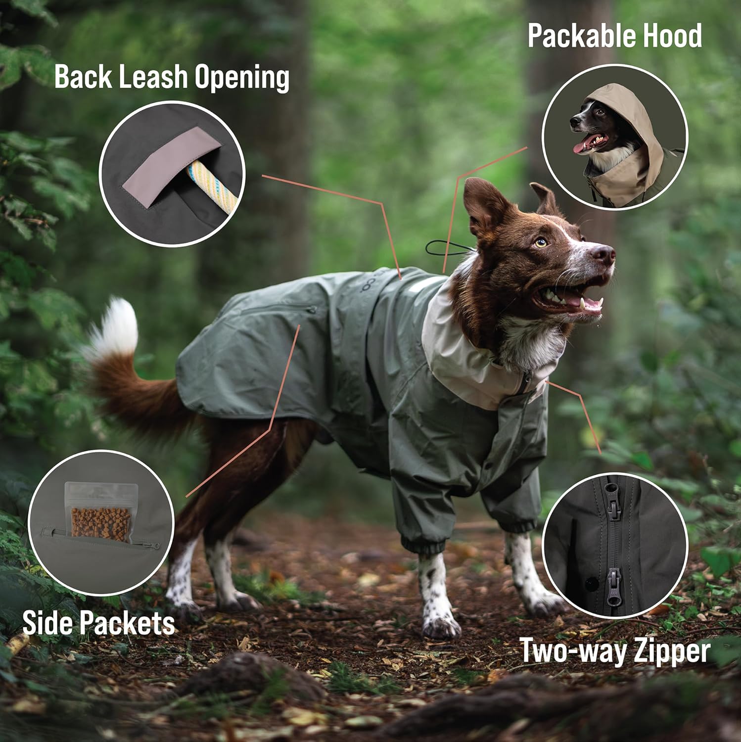 Midnight Forest – Chaqueta impermeable para perro, ligera y ajustable, impermeable para perros medianos  Chaqueta impermeable para perros medianos
