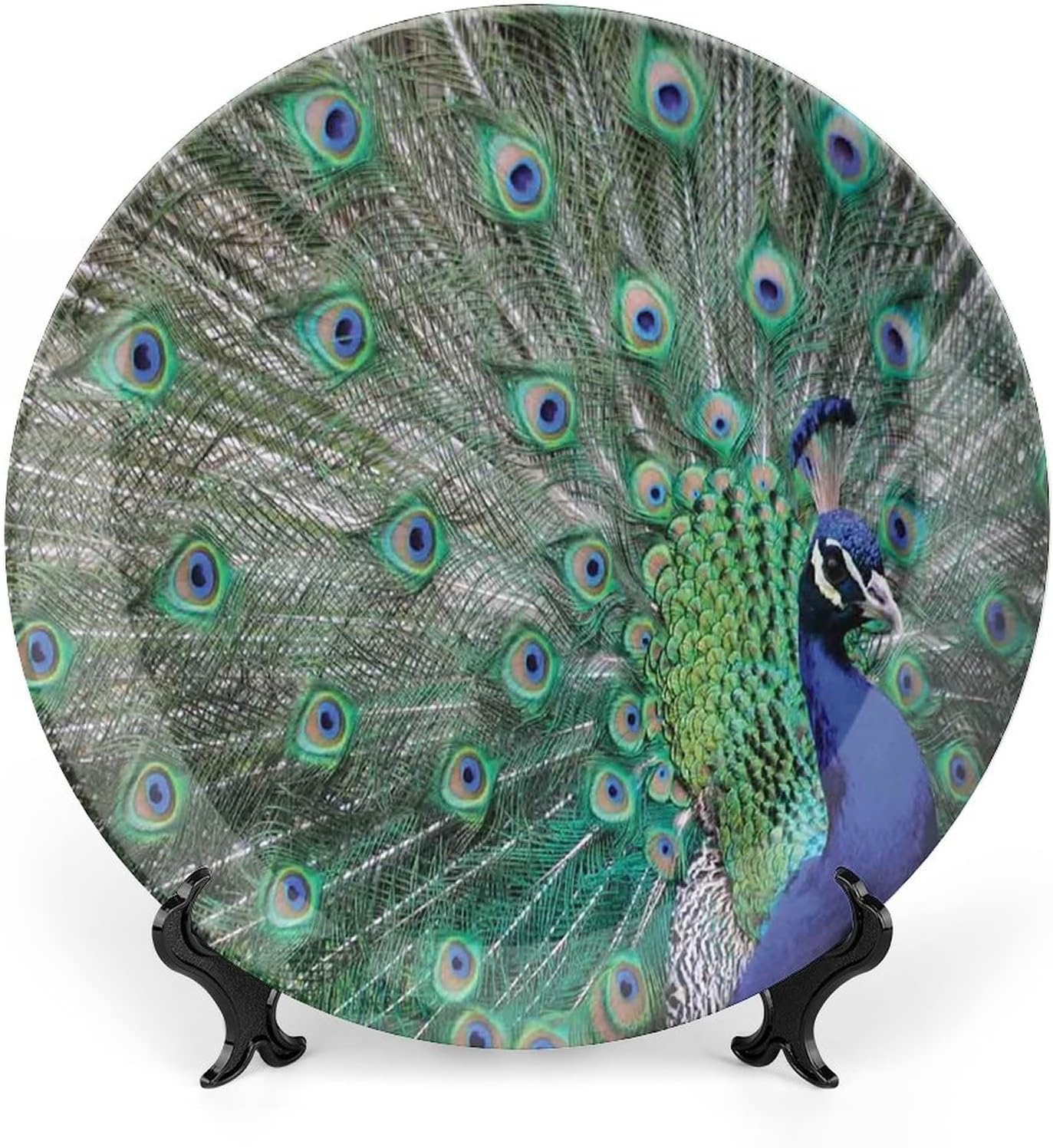 XISUNYA Plato decorativo de 6 pulgadas, plato de vajilla de pavo real, plumas alargadas y alas con impresión de imagen, placa de exhibición de