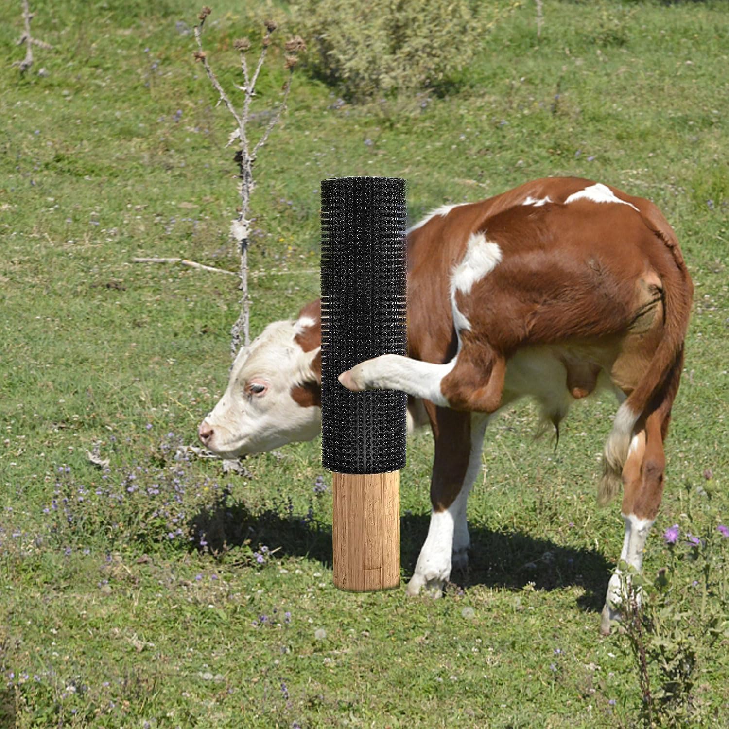 2 piezas de rascadores de ganado de caballo, poste rascador de caballos, kit de cepillo de masaje suave para equinos bovinos, almohadilla de alivio