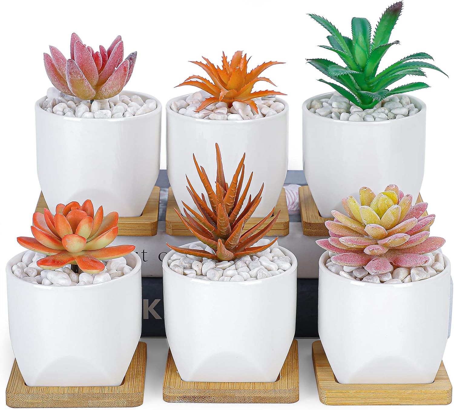 ARTKETTY Macetas para suculentas, macetas pequeñas de 3 pulgadas con bandejas de drenaje, juego de 6, macetas de cerámica para plantas de interior,