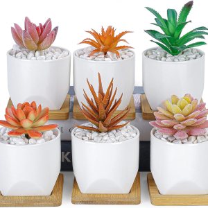 ARTKETTY Macetas para suculentas, macetas pequeñas de 3 pulgadas con bandejas de drenaje, juego de 6, macetas de cerámica para plantas de interior, ARTKETTY Macetas para suculentas, macetas pequeñas de 3 pulgadas con bandejas de drenaje, juego de 6, macetas de cerámica para plantas de interior,