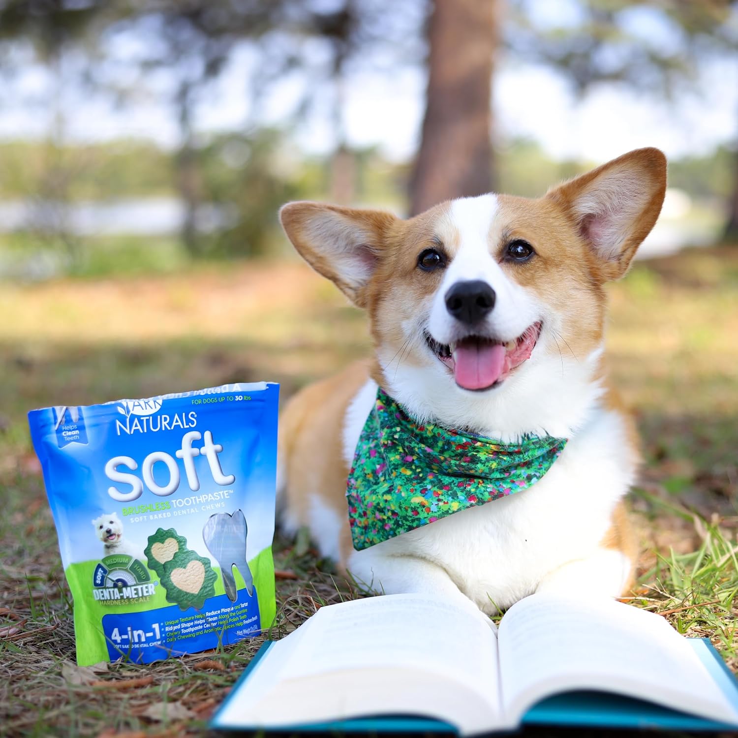 Ark Naturals Pasta de dientes suave sin escobillas, masticables dentales para perros para razas pequeñas, refresca el aliento, textura única que