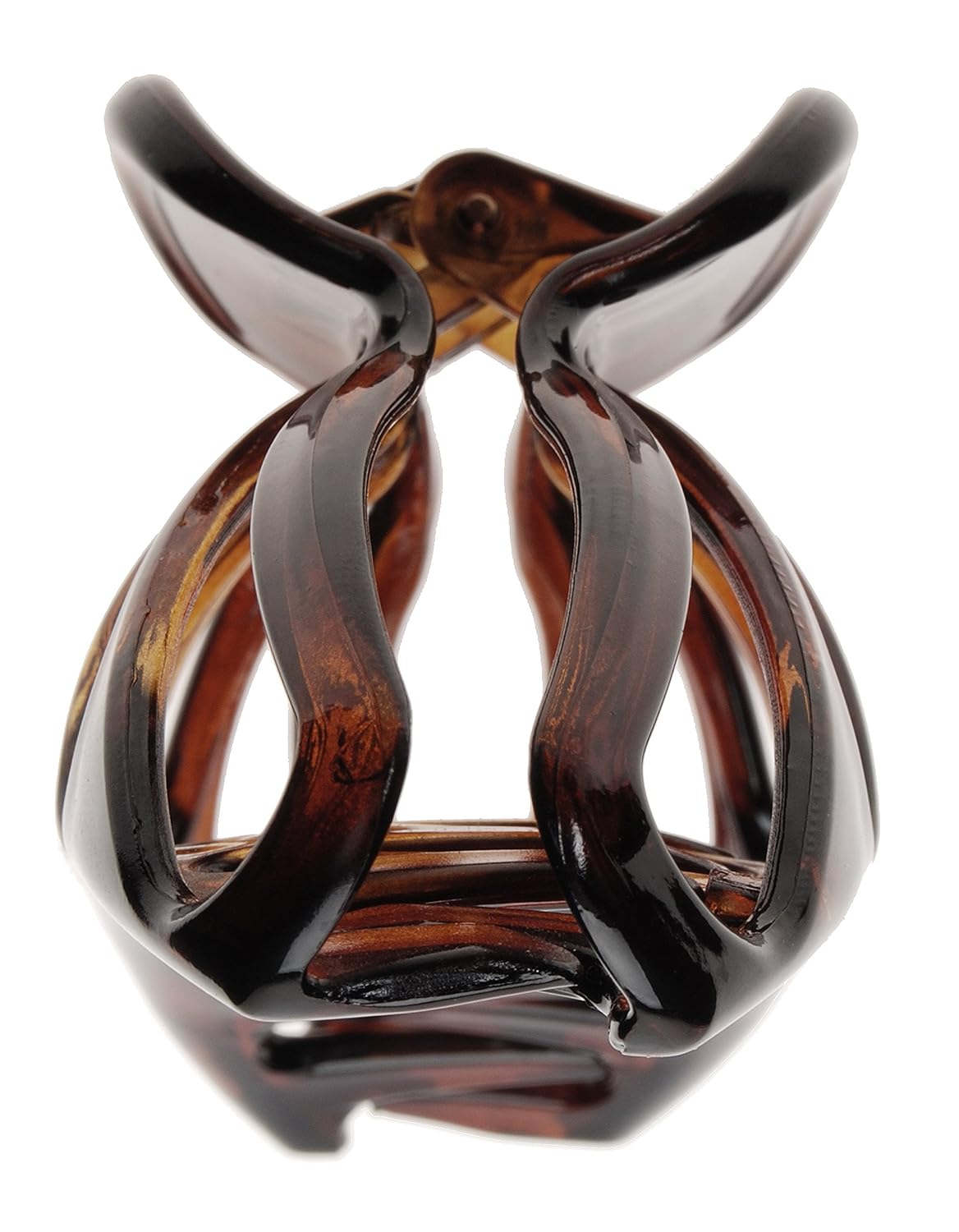 France Luxe Mandíbula grande Nautilus – Tortuga
