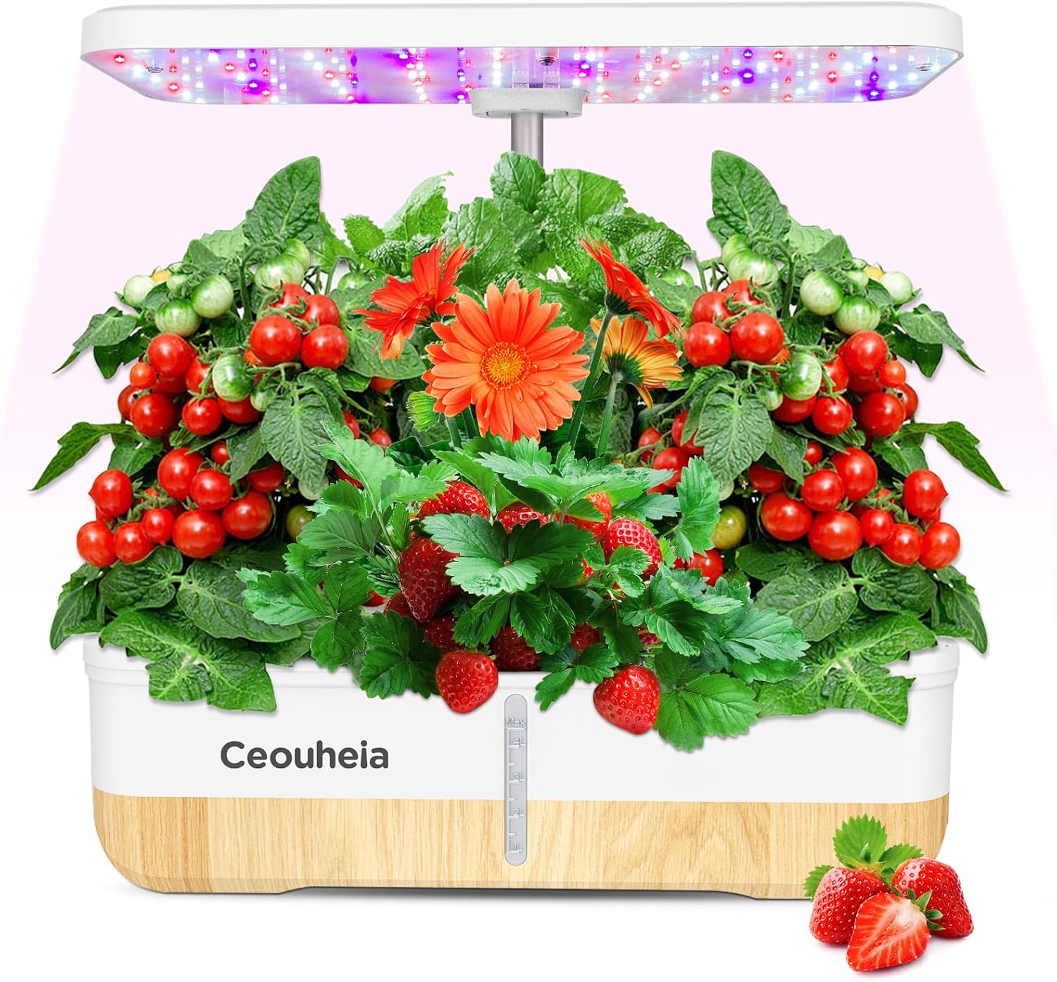 Sistema de cultivo hidropónico, 12 cápsulas, jardín de hierbas para interiores con luz LED, kit de germinación de plantas con sistema de bomba,