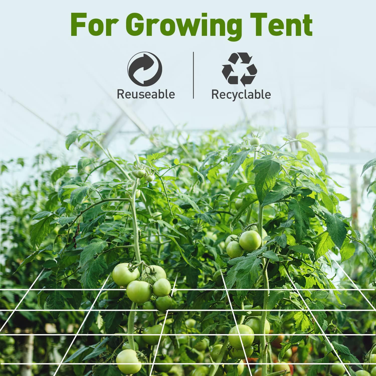 Red enrejada de 6.5 x 20 pies para tienda de cultivo de 6 x 6 pulgadas para plantas trepadoras, red de cultivo interior y exterior para frijoles,