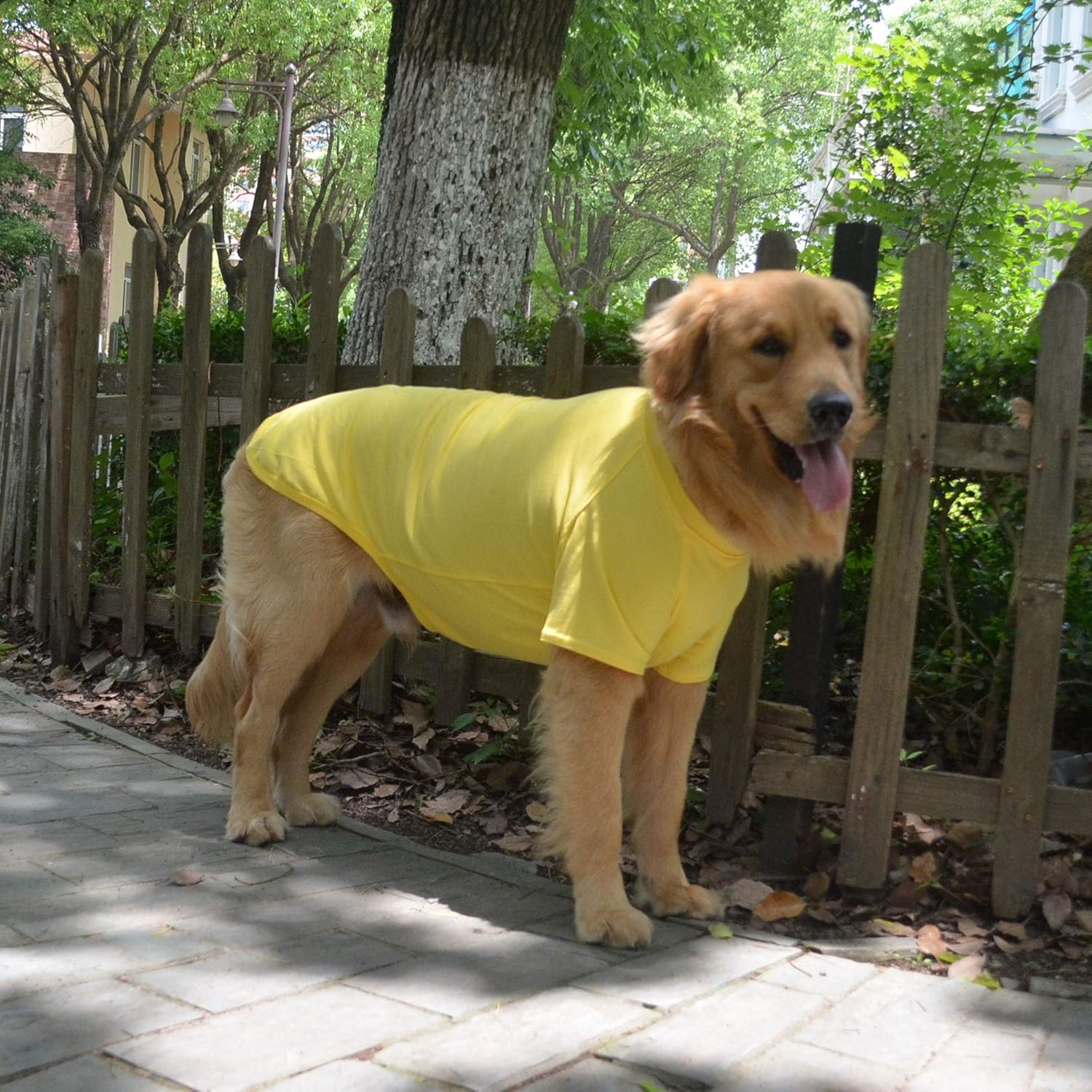 Lovelonglong 2019 – Ropa para mascotas, Disfraces para Perro, Ropa Camisetas en blanco para Perros Grande Medianos Pequeños 100% Algodón 18 Colores,