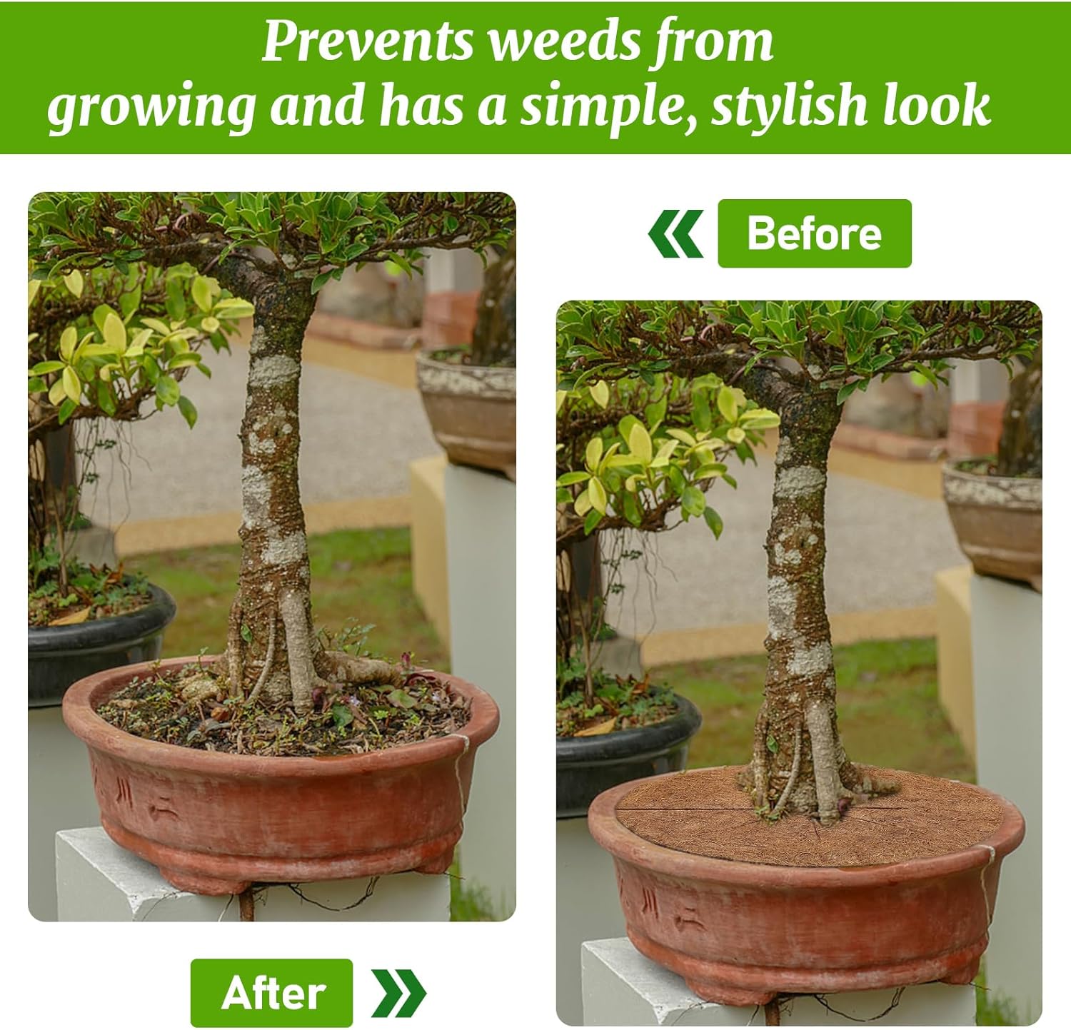 3 tapetes protectores de árboles de fibra de coco, cubierta de suelo para plantas de interior y exterior, cobertura de fibra de coco de 12 pulgadas