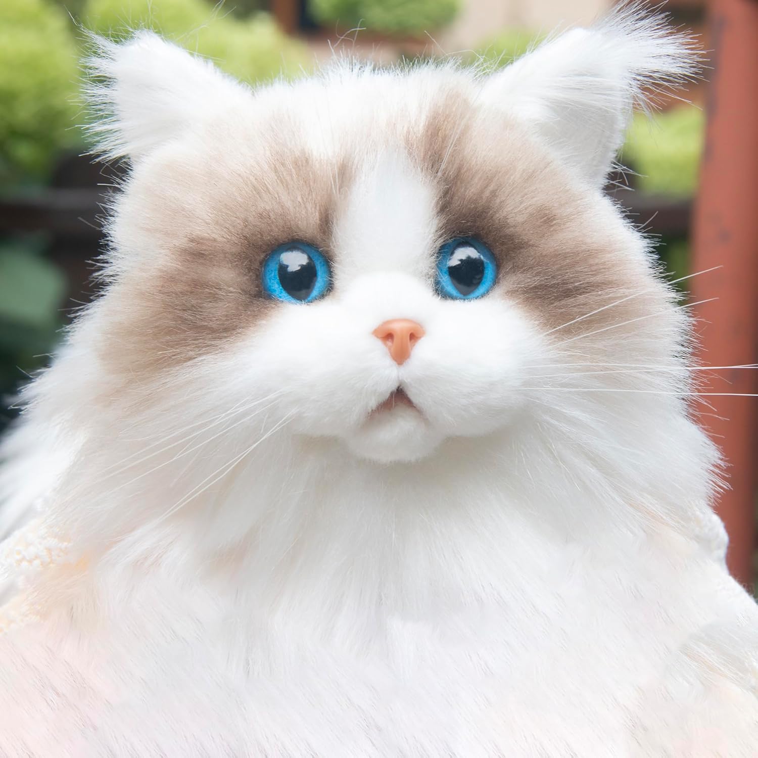 Chongker Peluche de gato  Animal de peluche realista para niños, regalo para niños y amantes de los gatos (Ragdoll Cat)
