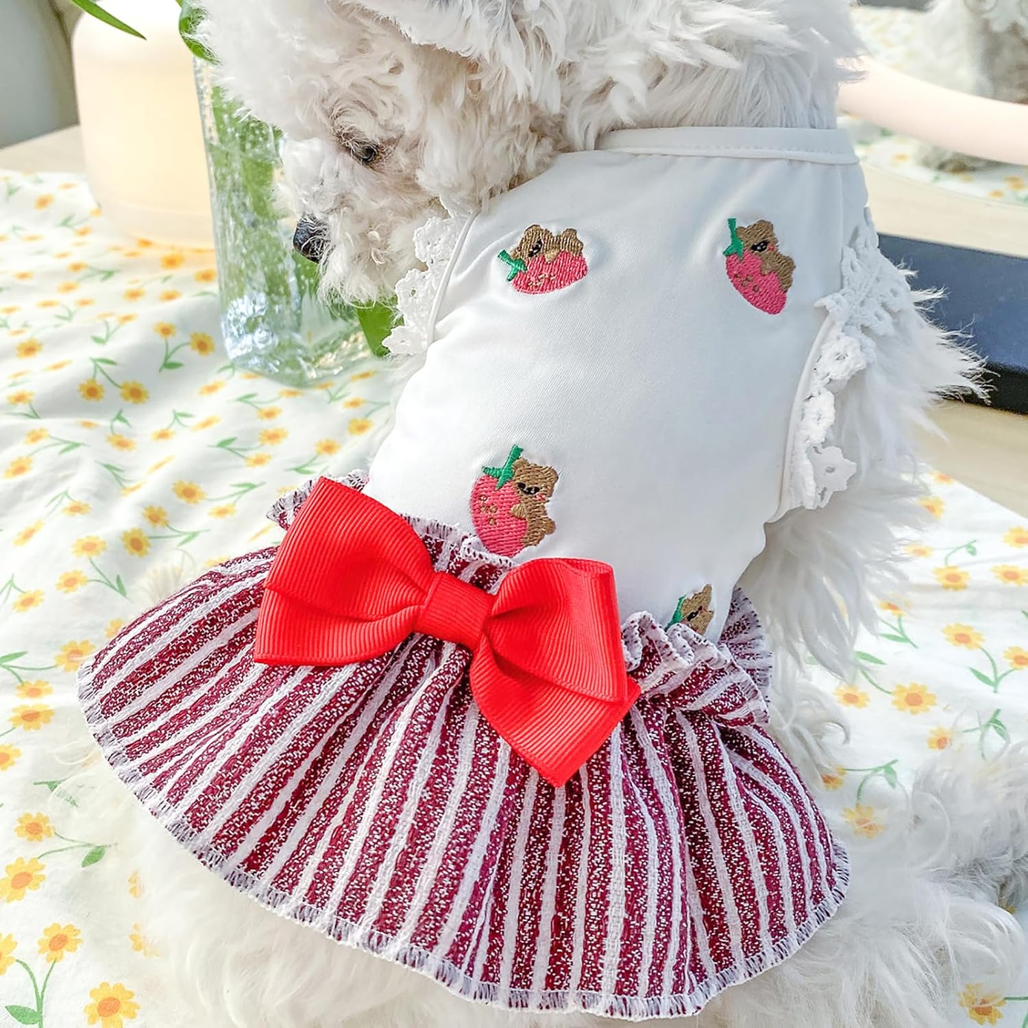 Vestidos de verano para cachorros, elegante, vestido de encaje con lazo, ligero, transpirable, de algodón, ropa de gato para peluche, pomerania,