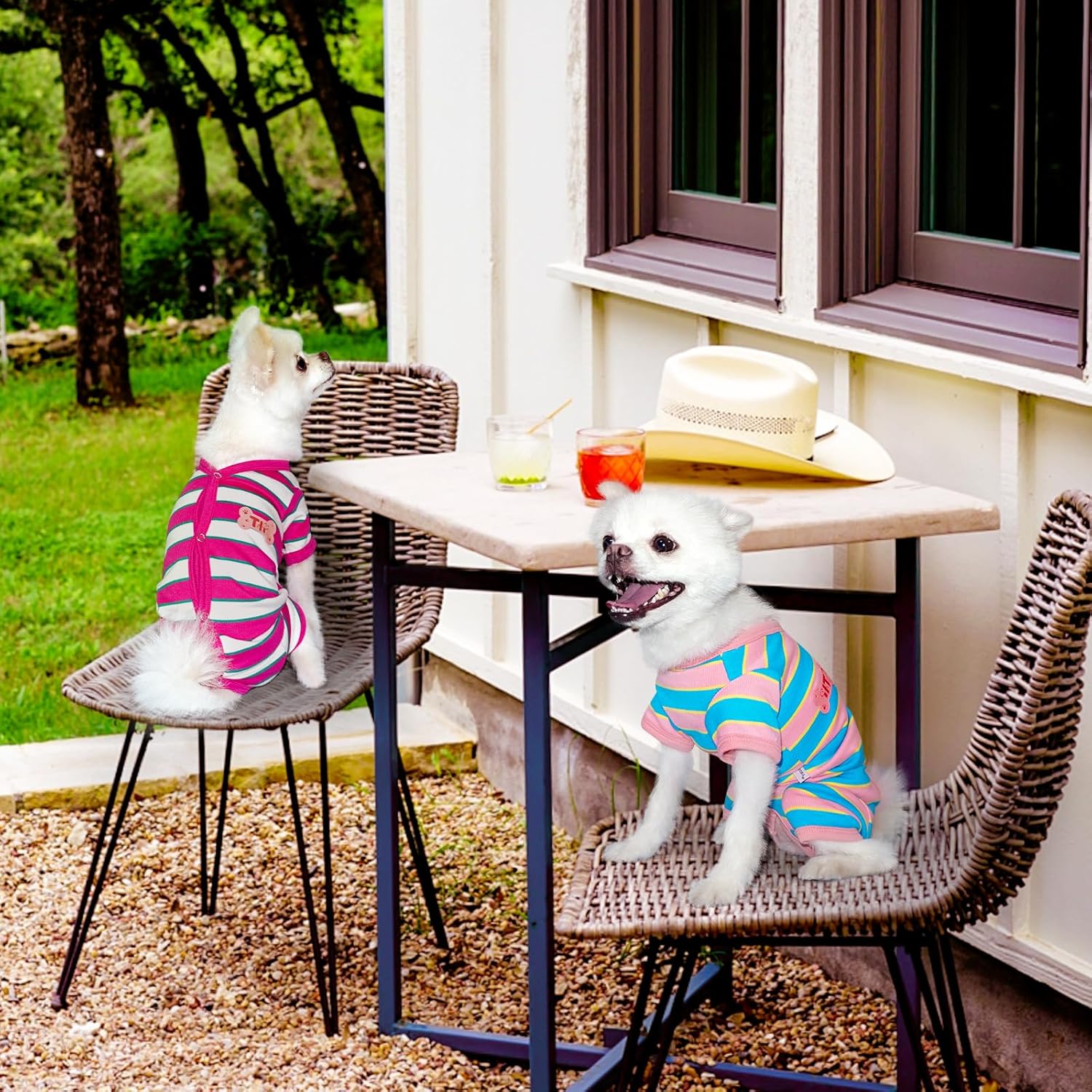 TONY HOBY Pijama para perro hembra, camisa para perro con rayas coloridas, ropa para mascotas para perros pequeños y medianos (rosa y azul, niña, L)