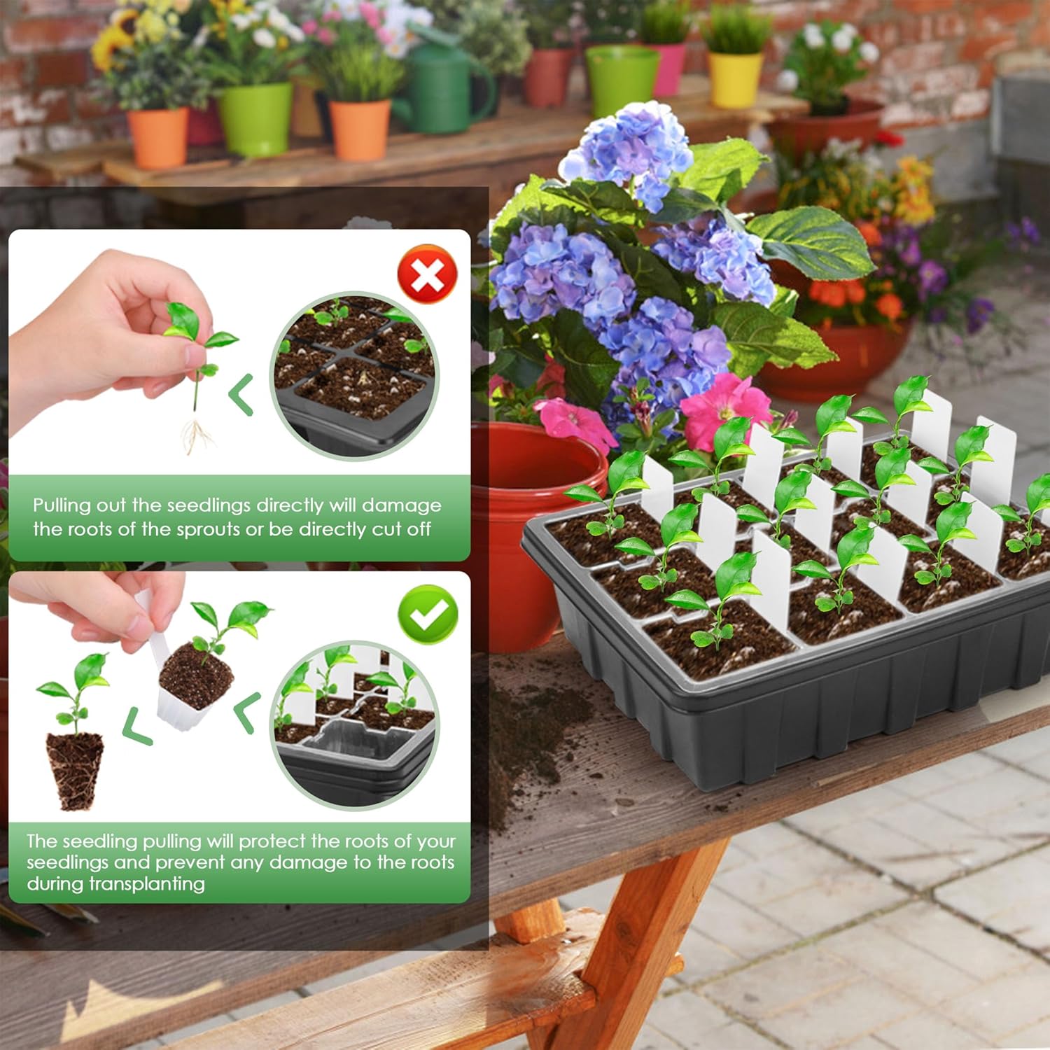 Paquete de 5 bandejas para plantas con 60 extractores reutilizables, bandeja de inicio de semillas con kit de cúpula de humedad. Germinación de