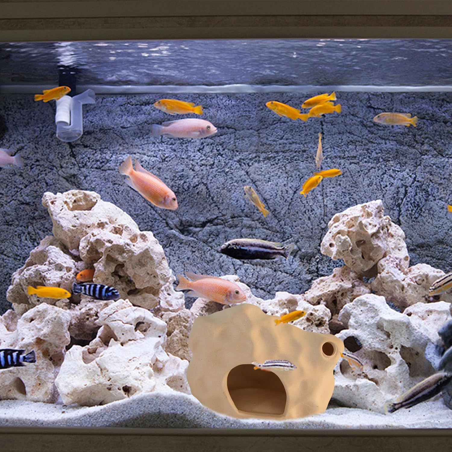 PENCK Acuario Betta Fish House Cerámica Coral Pequeño Camarón Escondite Cueva Fish Tank Decoración Accesorios Decoraciones para Cíclidos Acuáticos