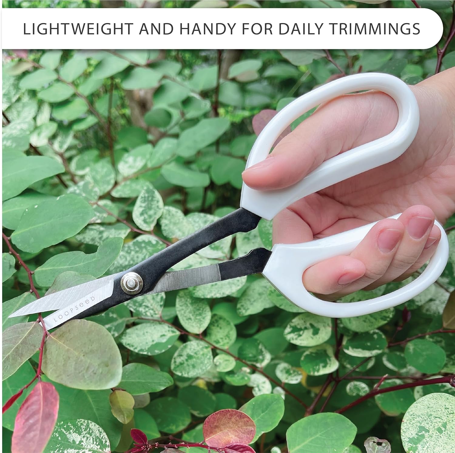 Tijeras de jardinería de precisión Tijeras de podar para orquídeas, bonsái, hidropónico, cortadora de flores, herramienta de jardín moderna