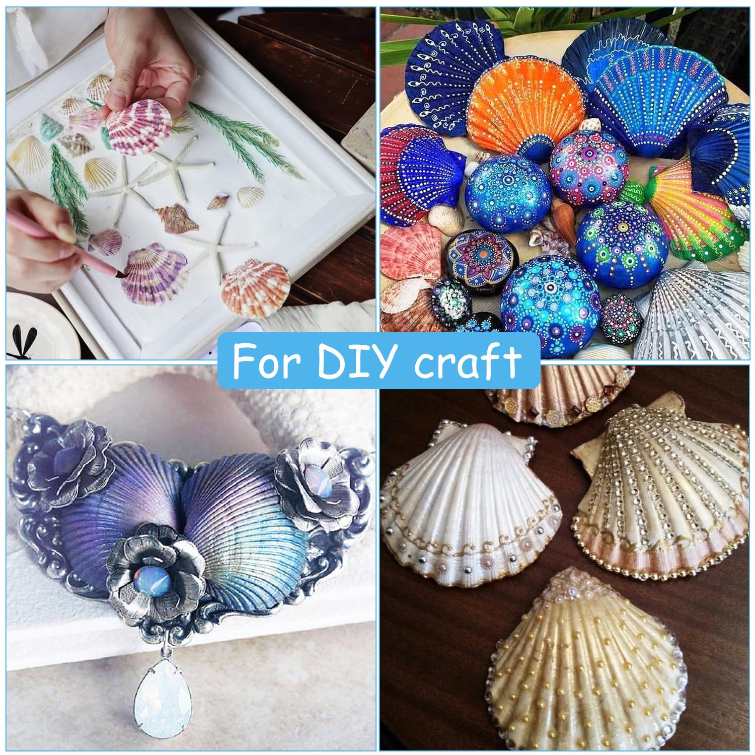 16 conchas de vieira natural, conchas de vieira blancas de 4 a 5 pulgadas, conchas marinas grandes para manualidades, decoración de boda, fiesta