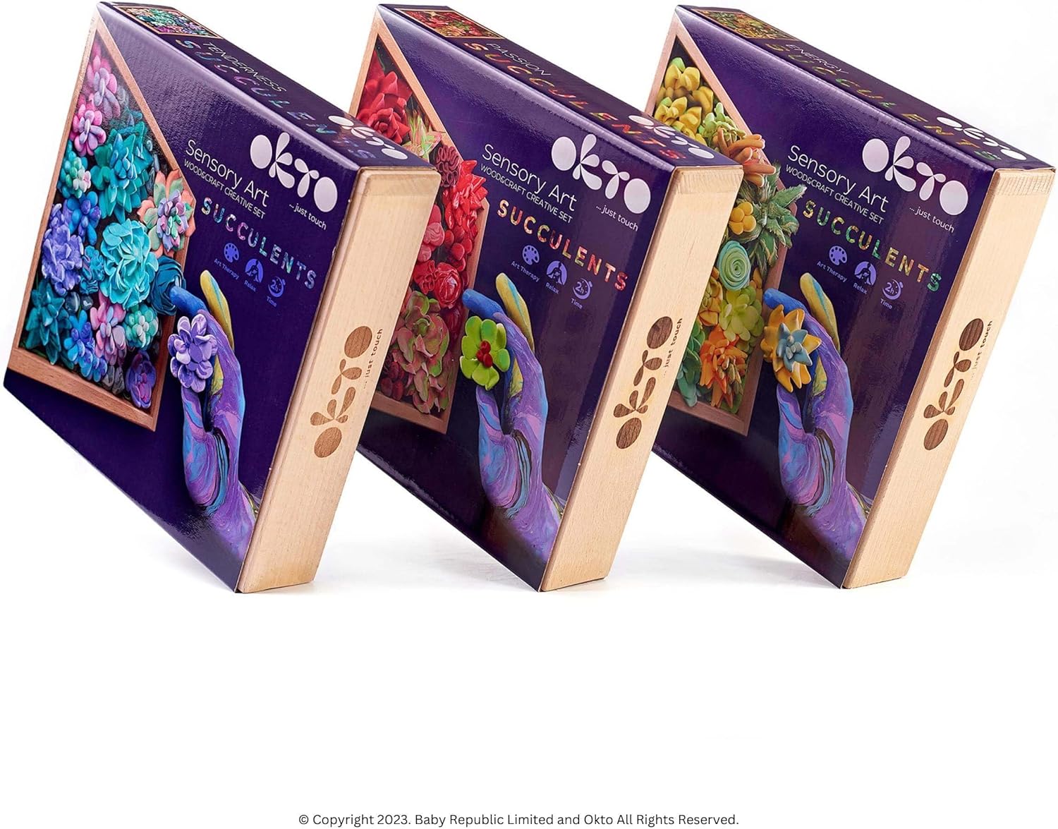 OKTO Kit de arte Ternerness Juego de arte de suculentas 3D para decoración de pared del hogar  Kits de manualidades para adultos y adolescentes