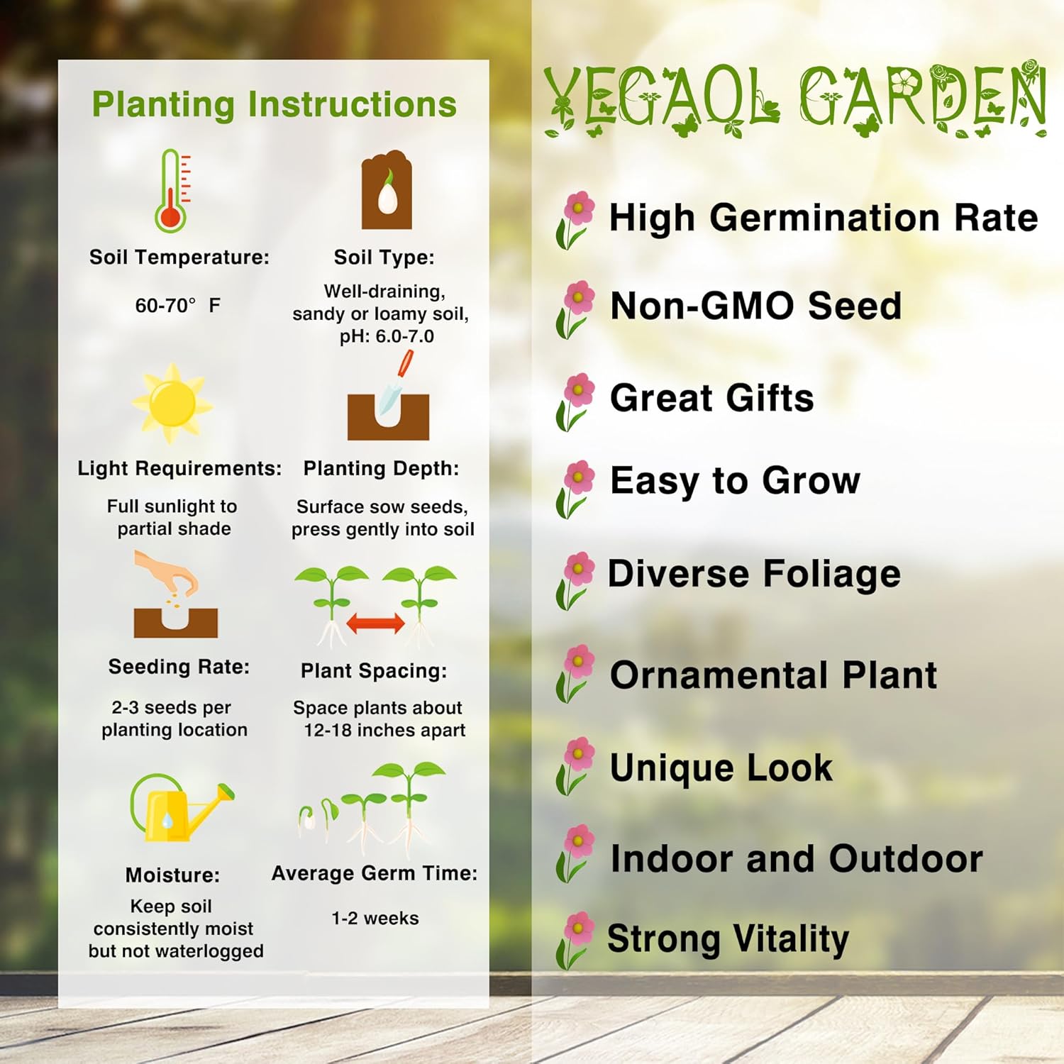 YEGAOL Garden – Semillas de artemisia vulgaris, planta perenne resistente, aspecto distintivo aromático, hojas aromáticas, beneficios potenciales