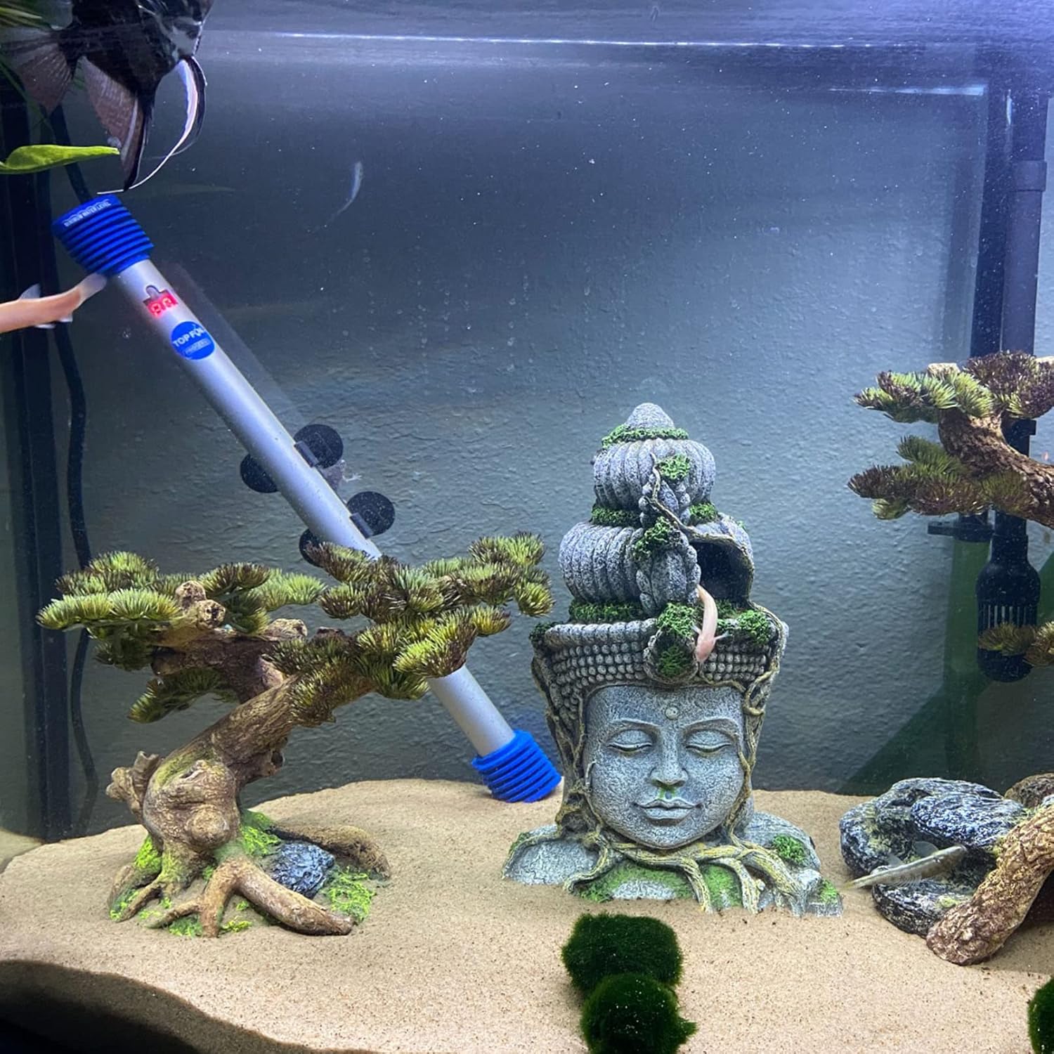 kathson Acuario Buda Cabeza Estatua Decoración Betta Resina Escondite Cueva Fish Tank Accesorios Descanso Ocultar Raza para Pescado Camarón Reptil