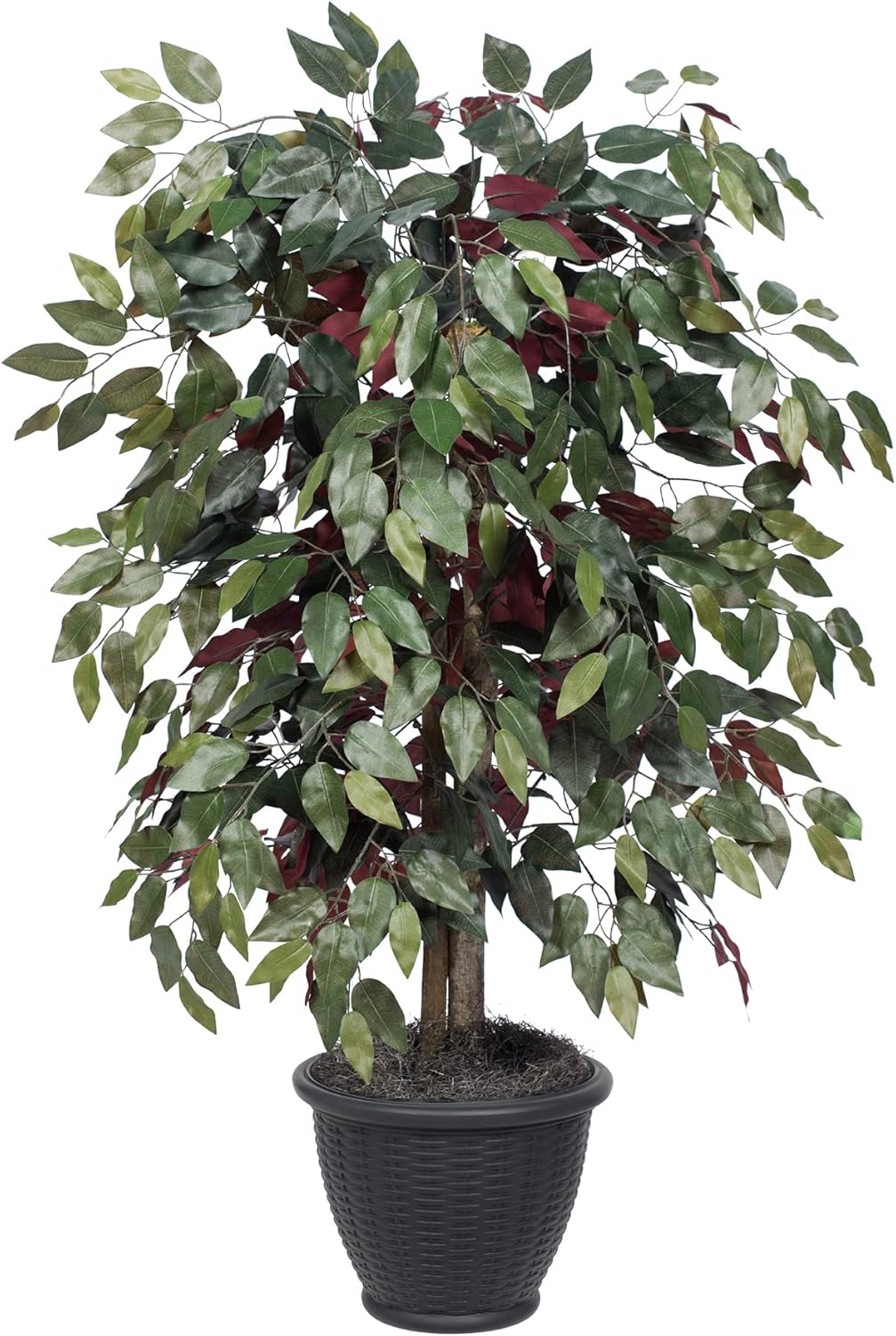 Vickerman Arbusto artificial Capensia Ficus de 4′, contenedor de plástico gris.