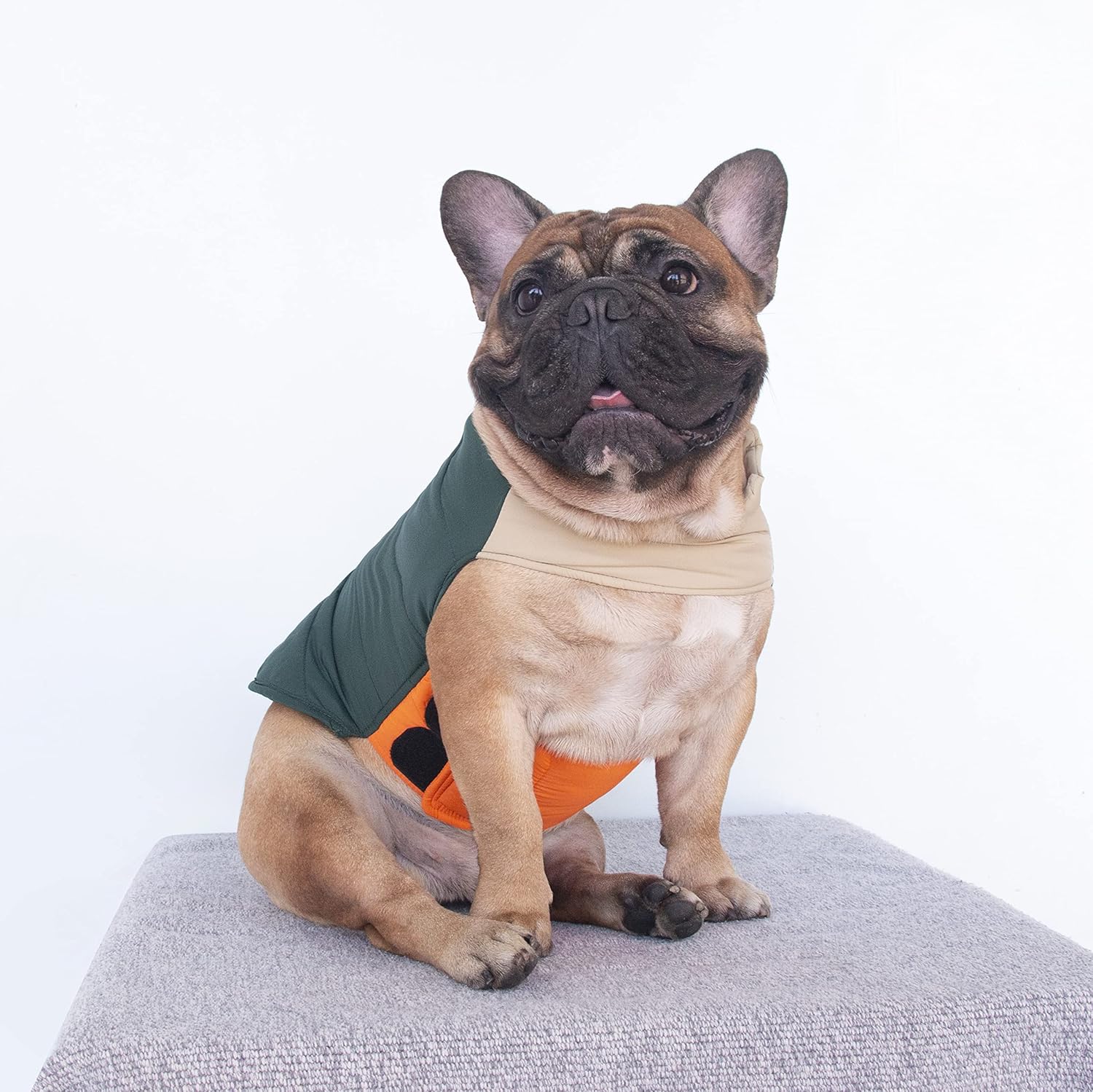 iChoue Abrigos de invierno de bulldog francés, chaquetas para perro, chalecos acolchados de algodón para Pug English Boston Terrier Pitbull –