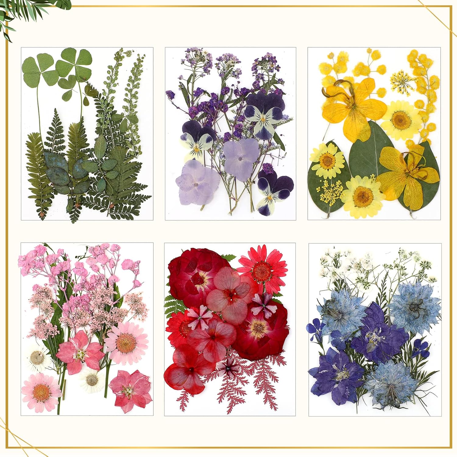 Marco de vidrio para bricolaje, arte de flores prensadas, marco de fotos colgante de latón con cadena y 6 estilos de flores prensadas, collage de