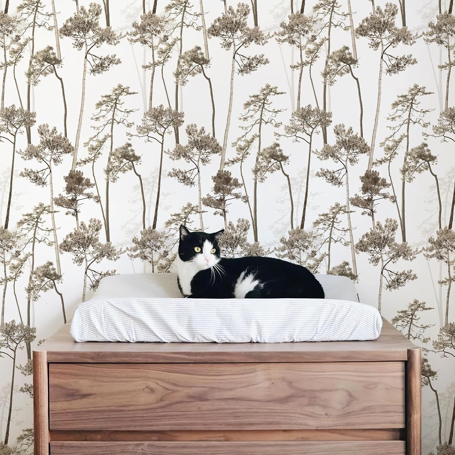 JiffDiff Papel tapiz autoadhesivo con diseño de árbol, bosque, moderno, papel tapiz autoadhesivo con selva, papel de contacto vintage extraíble para
