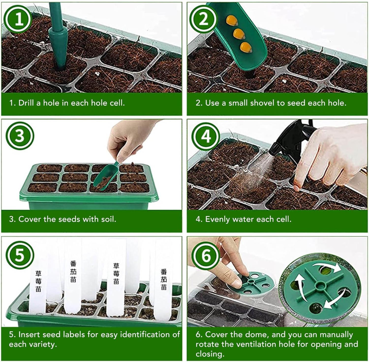 TOPINCN Seed Starter Tray, Garden Seedling Tray Transparent Cover Botton Drain Hole for Horticulture (12 Holes)