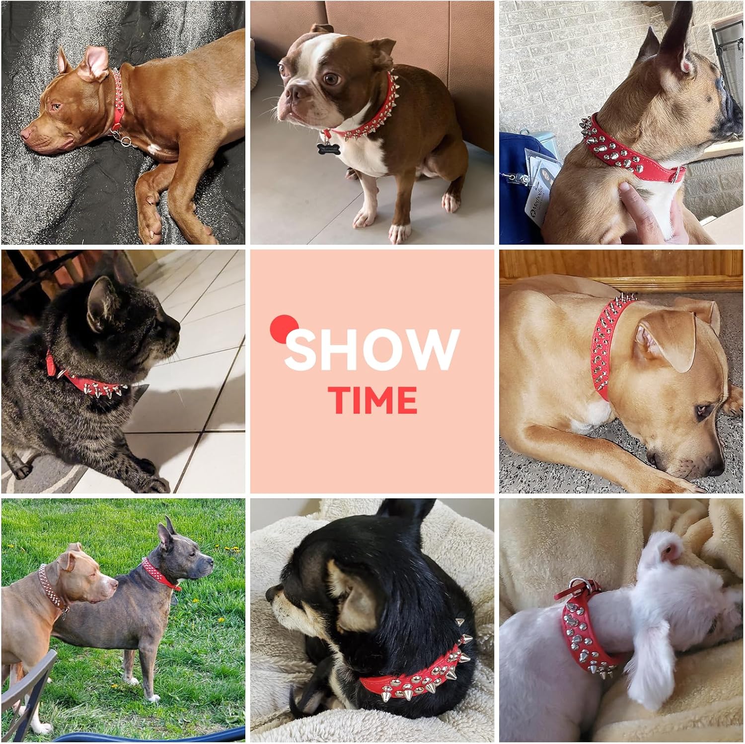 Collar de perro con pinchos, de piel sintética suave, color rojo, con forma de hongos, remaches, tachuelas, collar ajustable para perros pequeños,