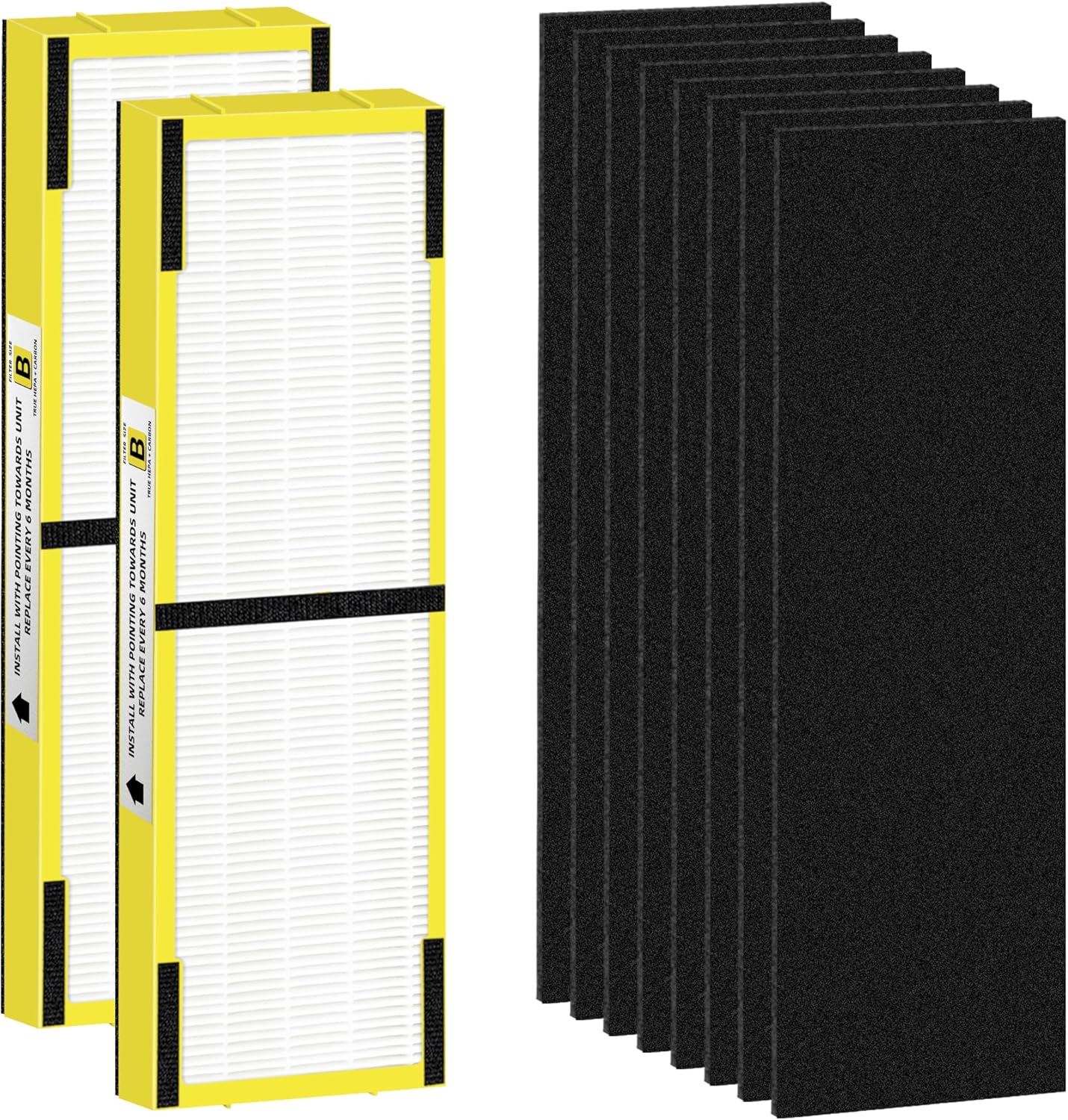 FLT4825 Filtro HEPA B de repuesto compatible con purificadores de aire G-Guardian AC4825 AC4300 AC4800 AC4900 AC4850,2 H13 True HEPA Filters+8