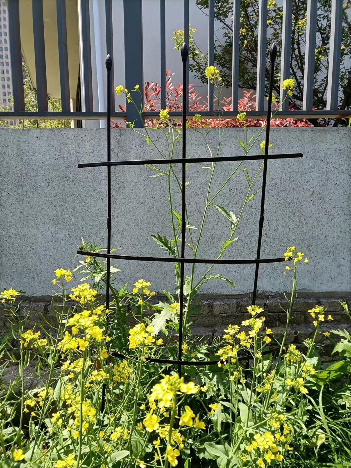 Enrejado negro para plantas enrejado de jardín con rosas adheridas, jaula para plantas trepadoras, soporte de flores trepadoras con revestimiento
