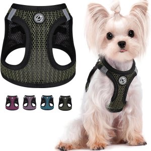 Arnés para perro pequeño, de malla de aire, arnés para perro sin tirones, arnés para cachorro, arnés para perro pequeño, arnés para perro pequeño Arnés para perro pequeño, de malla de aire, arnés para perro sin tirones, arnés para cachorro, arnés para perro pequeño, arnés para perro pequeño