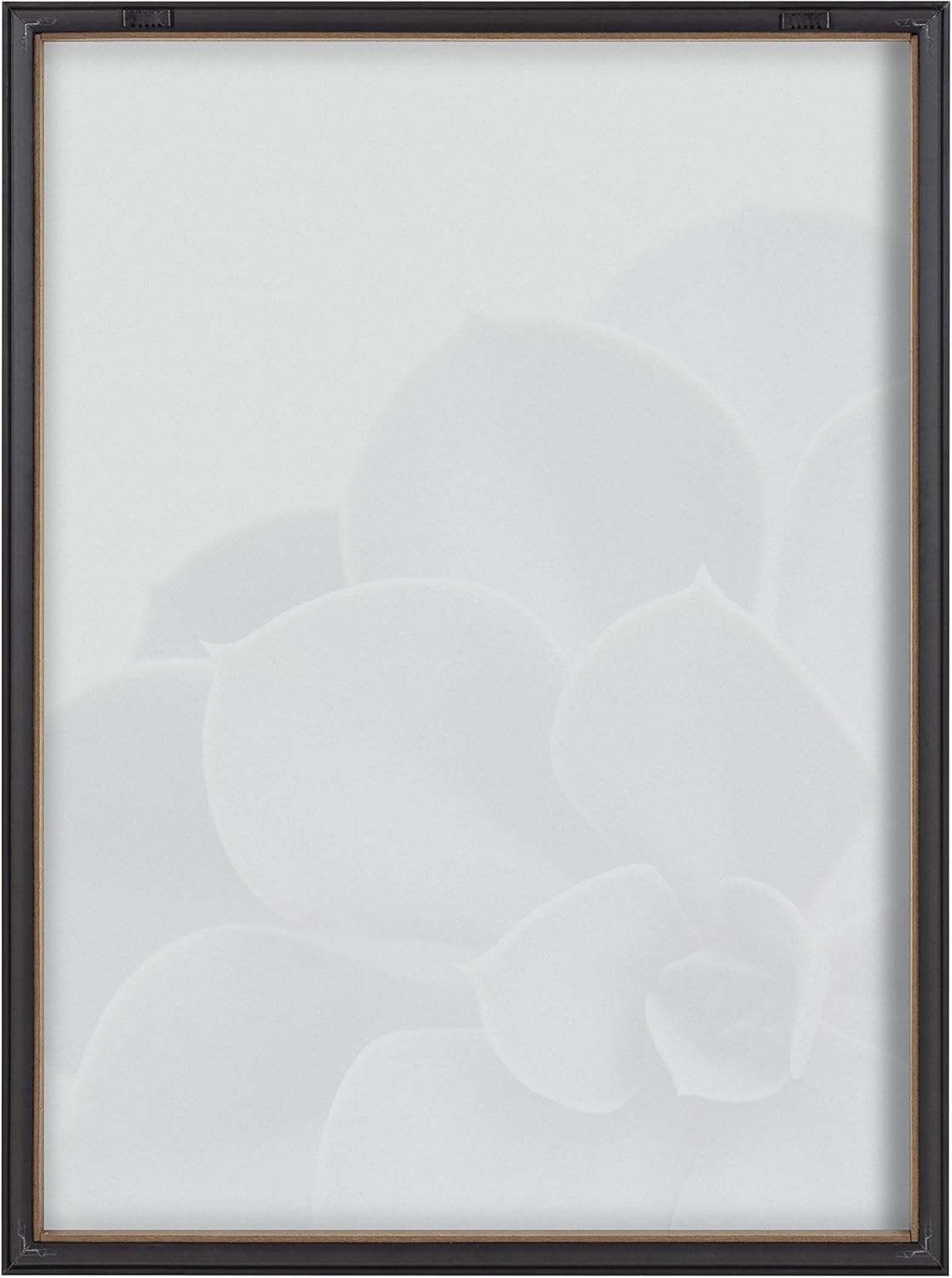 Kate and Laurel Blake Succulent – Arte de pared de vidrio impreso con 5 marcos por Emiko y Mark Franzen de F2Images, 18 x 24 pulgadas, color gris,