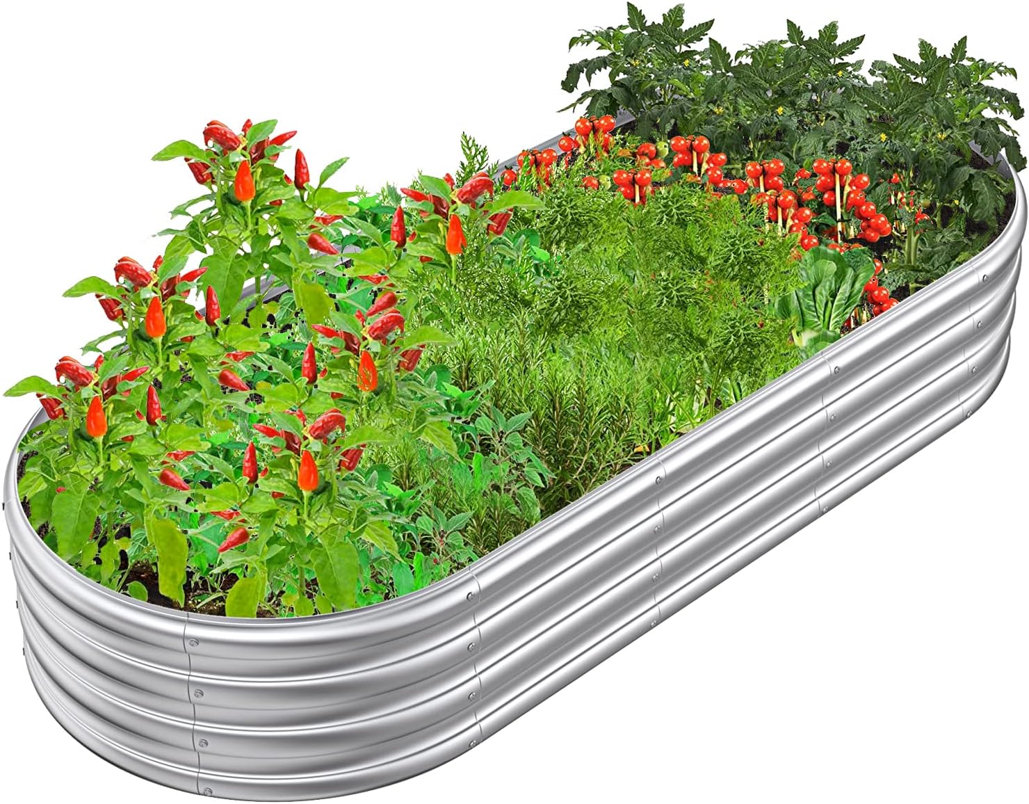 FRIZIONE Cama de jardín elevada de metal galvanizado de 6 x 2.3 x 1 pies para verduras, jardinera elevada para jardín al aire libre, jardinera