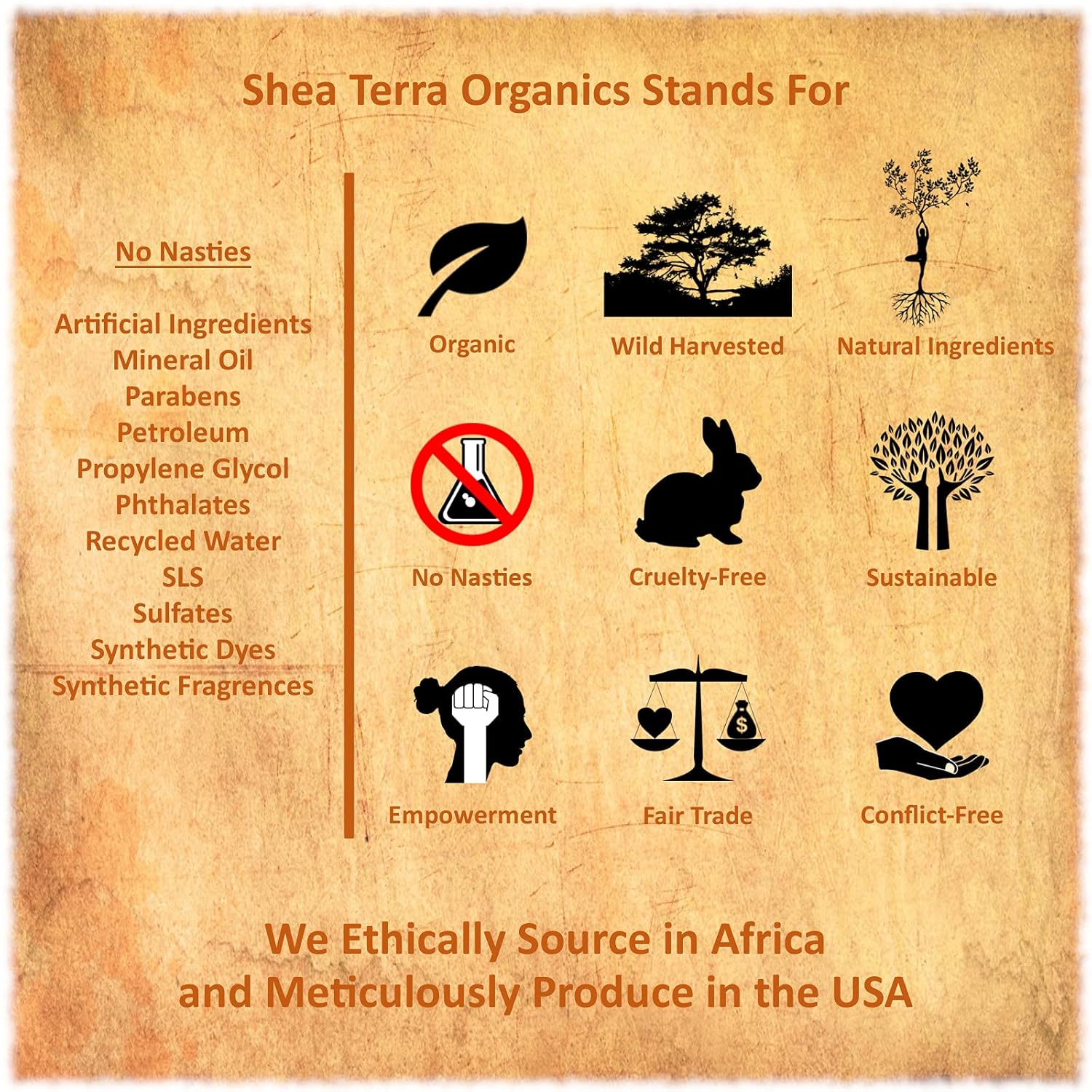 Shea Terra Kigelia Age Defense Collection – Crema facial para después del sol  Crema facial natural antienvejecimiento con raíz de regaliz, manteca