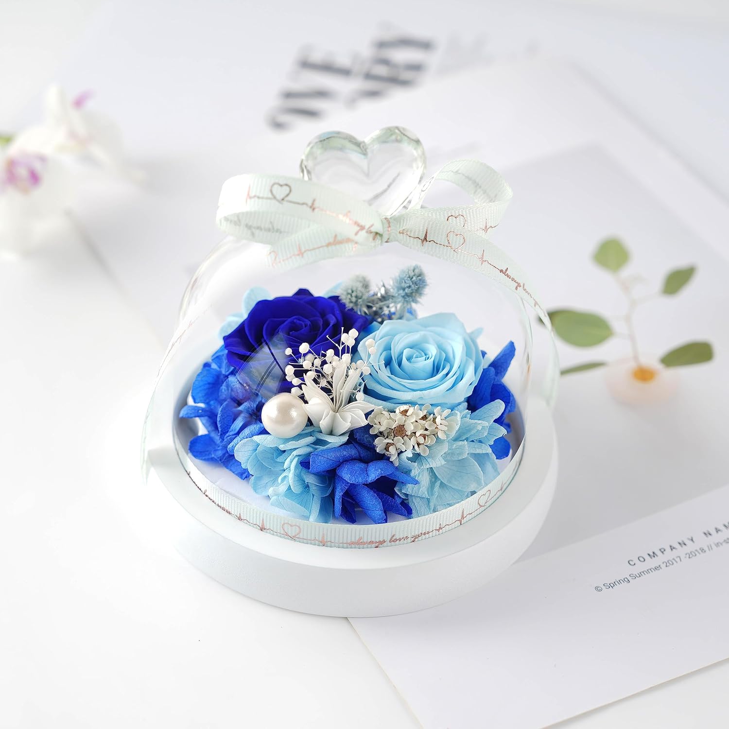 2 pequeñas rosas preservadas con iluminación LED, día de la madre, día de San Valentín, cumpleaños para familiares y amigos, caja de regalo