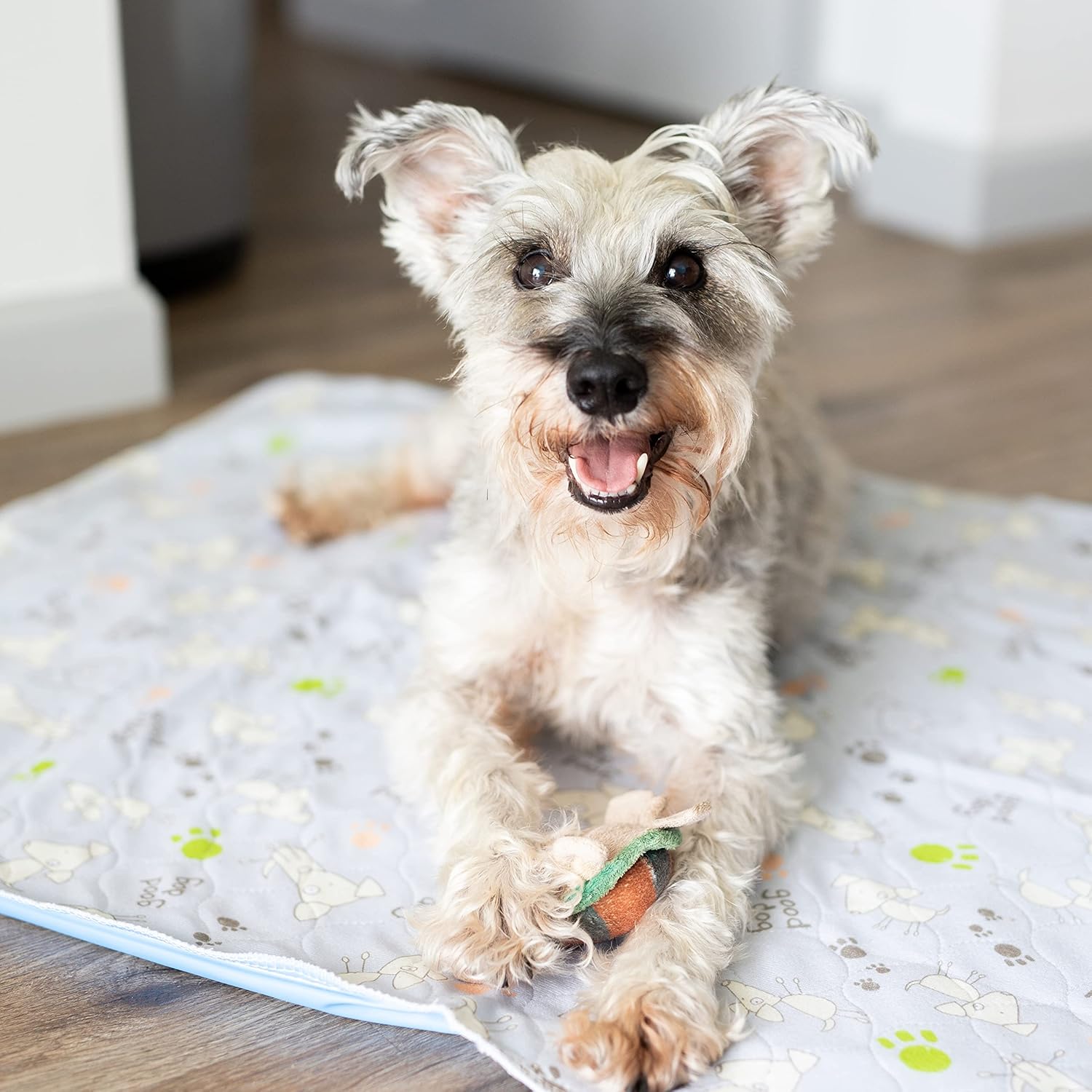 ChewieMac Almohadillas lavables para orinar para perros (paquete de 2 unidades), patrón gris, 28 x 31 pulgadas, grandes, reutilizables suministros
