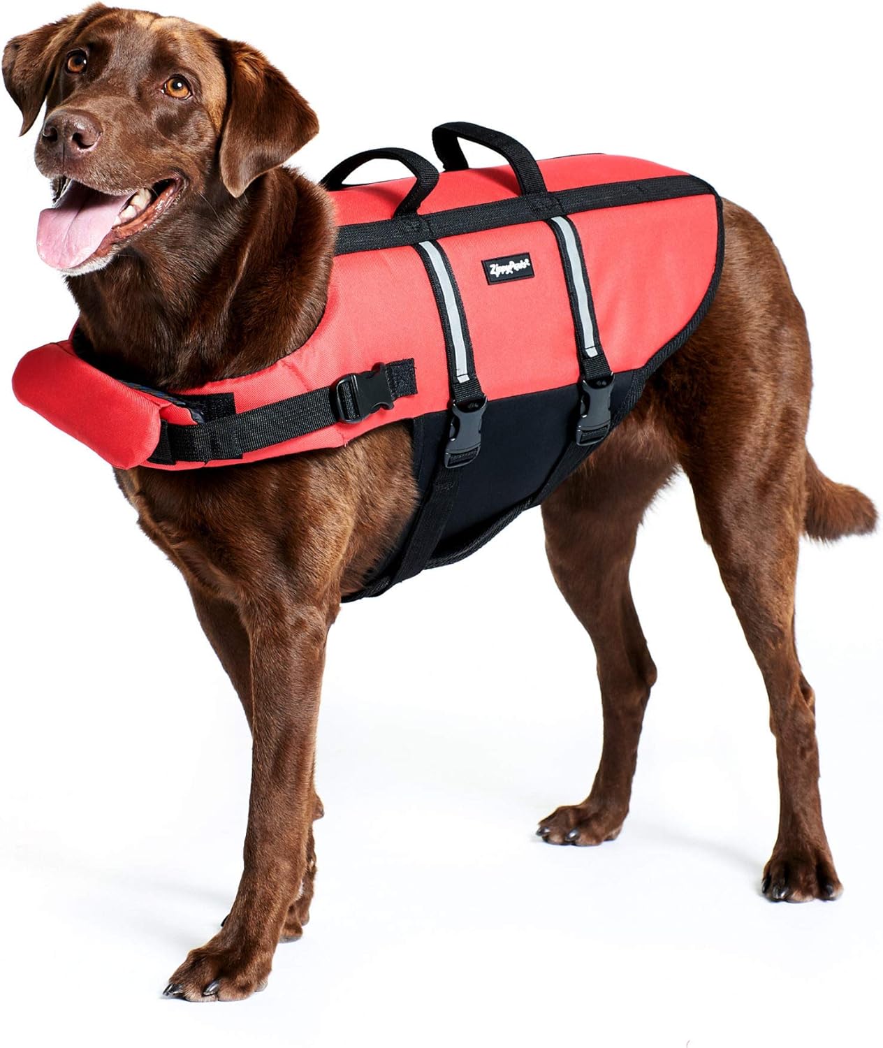 ZippyPaws Chaleco salvavidas para perros y cachorros, chaleco salvavidas para entrenamiento de natación para perros pequeños, medianos y grandes,