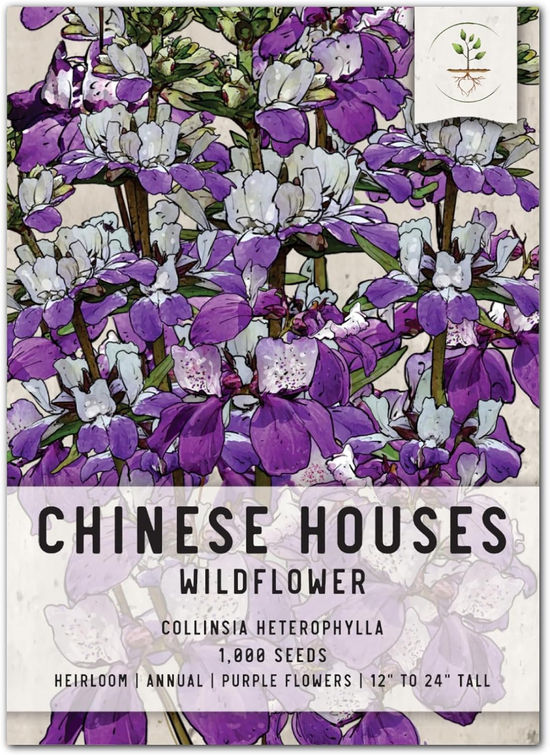 Seed Needs, Chinese Houses – Semillas de flores para plantar (Collinsia heterophylla), paquete individual de 1,000 semillas, reliquia, polinizado