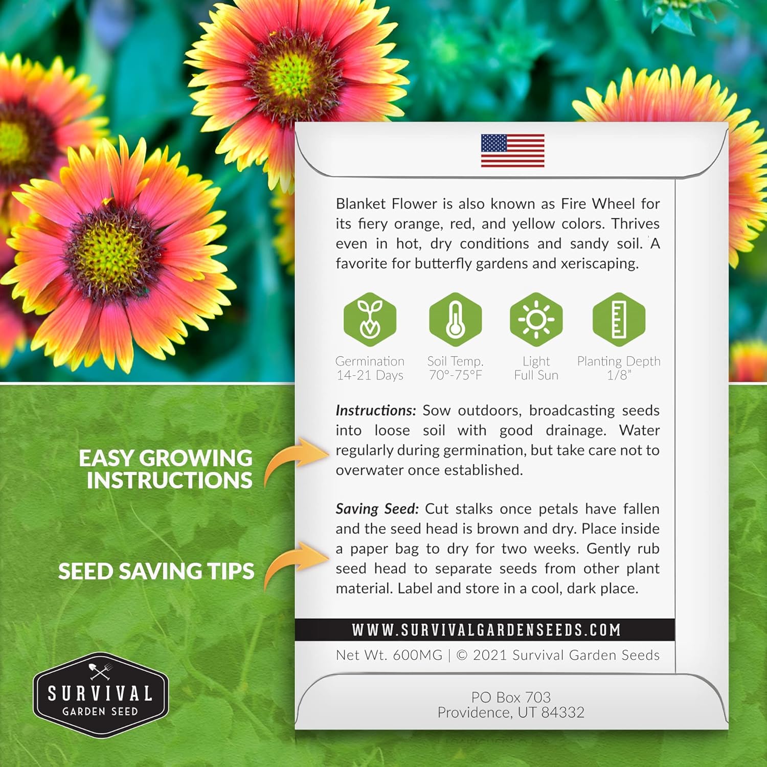 Survival Garden Seeds – Semillas de flores para plantar – 2 paquetes con instrucciones para plantar y cultivar Gaillardia Pulchella en tu huerto