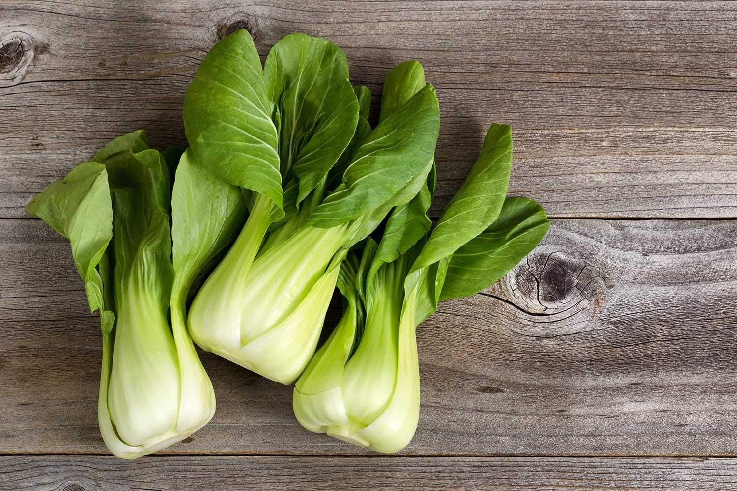 Semillas Chino Col Bok Choy Heirloom Vegetales No OGM