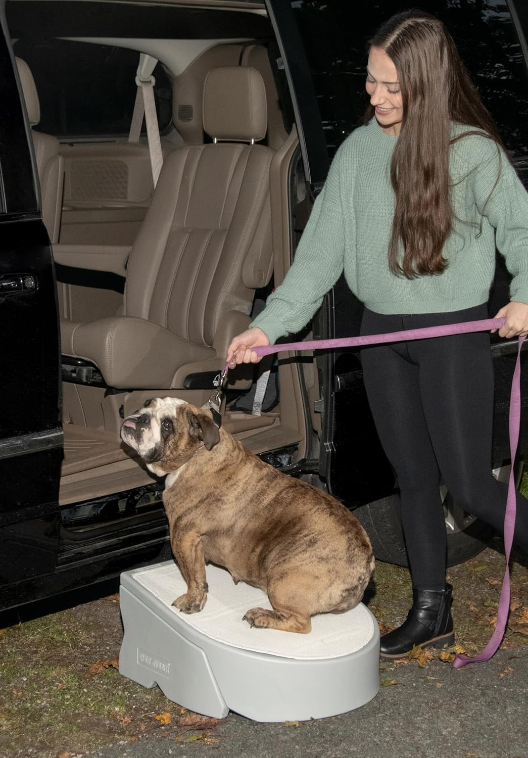 Pet Gear – Combinación de escalera y rampa para perrosgatos, fácil paso, ligeroportátil, resistente, fácil montaje (no requiere herramientas), 2