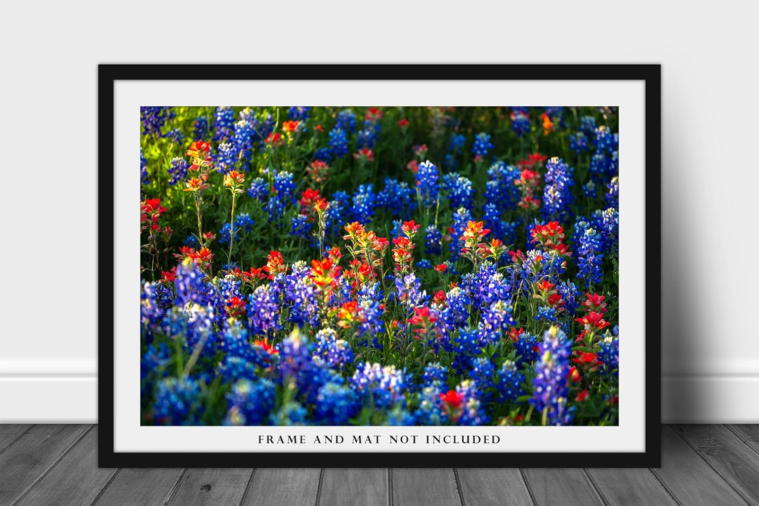 Wildflower Photography Print (Not Framed) Picture of Bluebonnets and Indian Paintbrush on Spring Day in Texas Flower Wall Art Nature Decor (8″ x 12″)