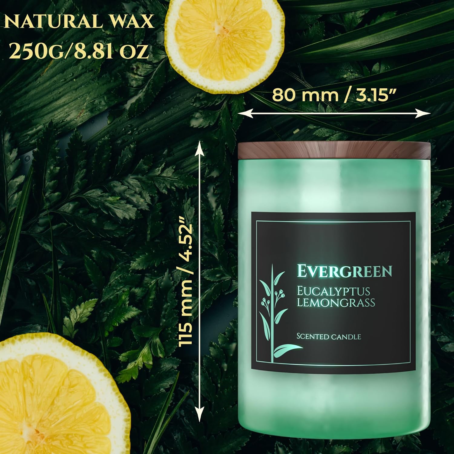 Evergreen – Vela perfumada de citronela y eucalipto, vela perfumada para aliviar la ansiedad y el estrés, tiempo de combustión de 60 horas,