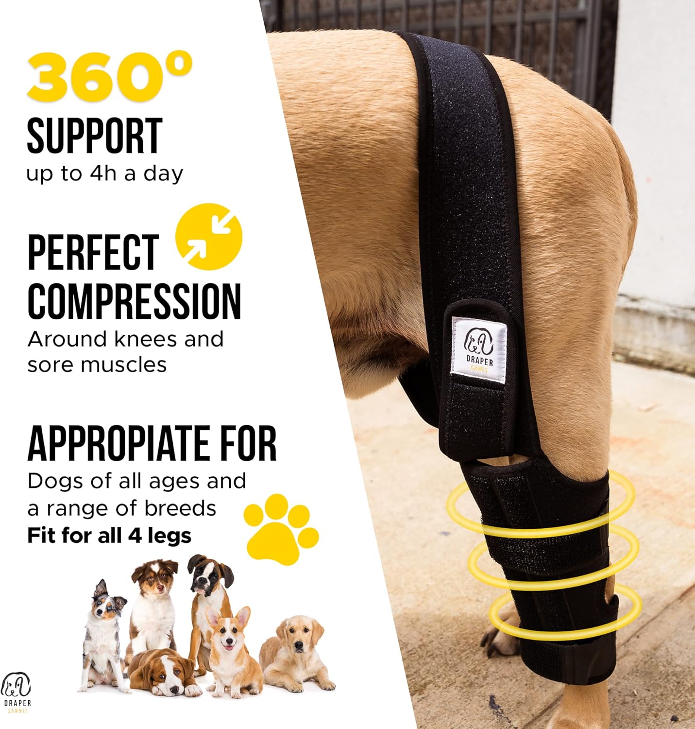 Rodillera para perro para desgarro de ligamento cruzado anterior con lesión de ligamento cruzado  Soporte ajustable para soportes de pierna trasera
