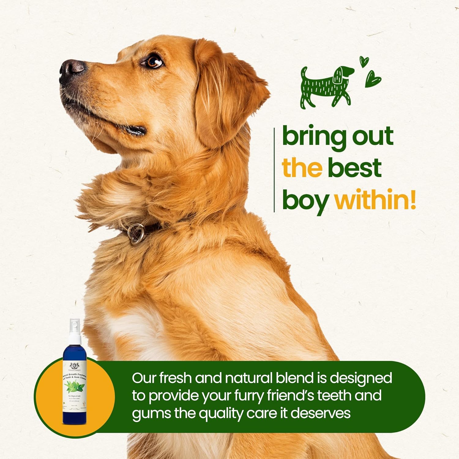 Gerrard Larriett – Ambientador natural de aliento para gatos y perros, rociador de limpieza de dientes de gato y perro con menta, aloe vera y