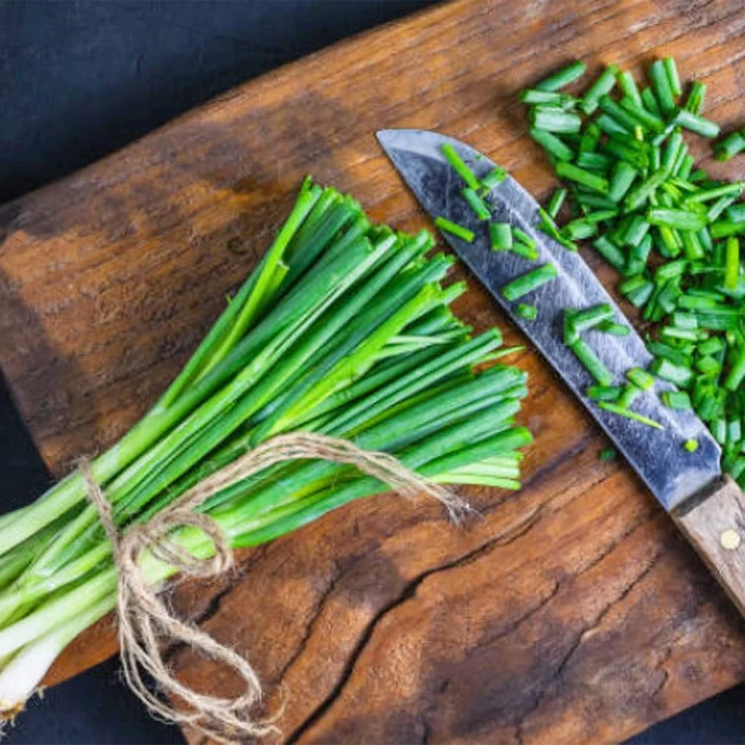 QAUZUY GARDEN 1000 semillas de cebolla galesa (cebolla galesacebolla de primavera) Semillas de cebolla verde larga, semillas vegetales tradicionales