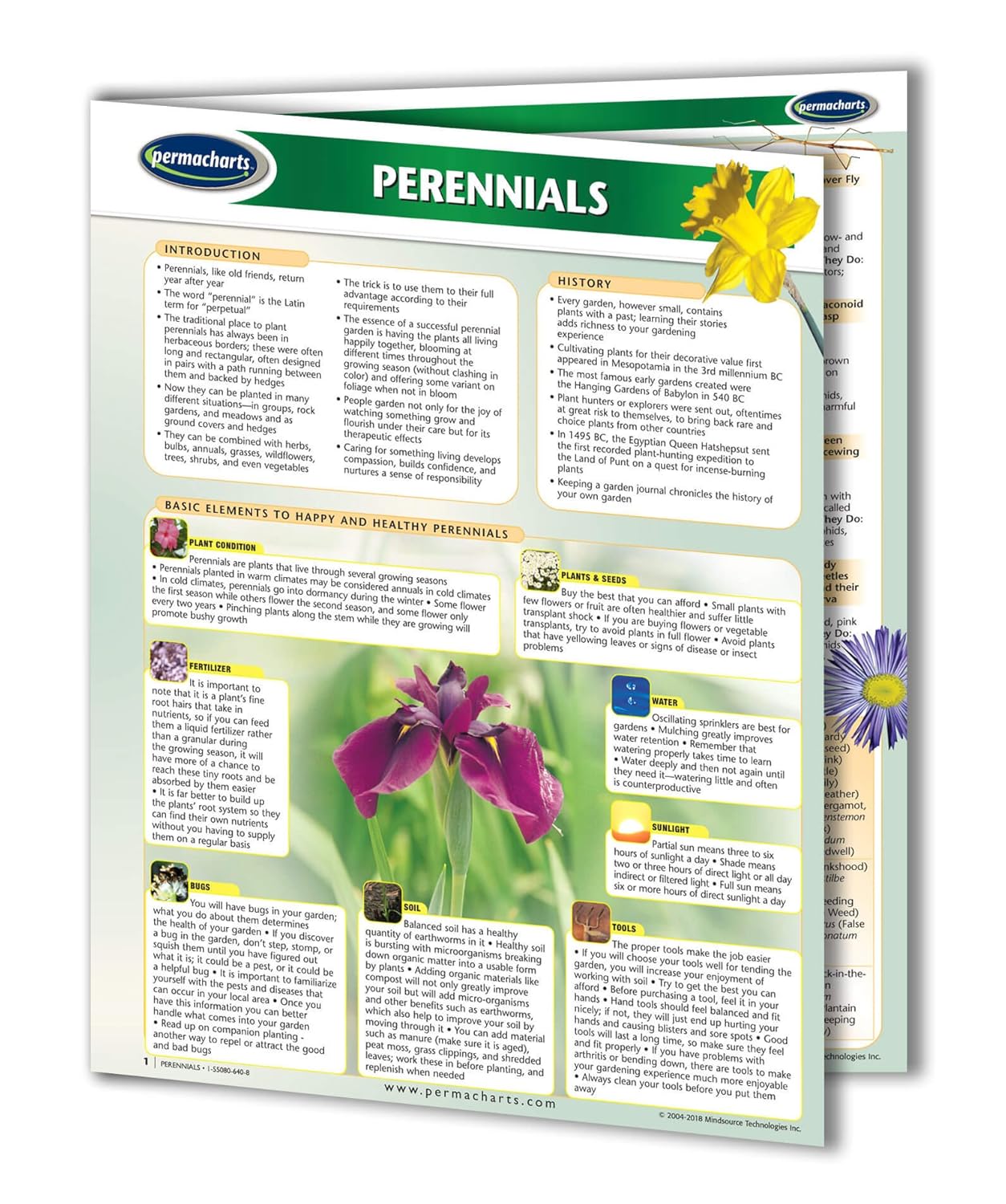 Guía de referencia de jardinería de primavera – Paquete de 4 gráficos – 4 gráficos laminados por Permacharts