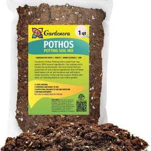 GARDENERA Mezcla para macetas purificadora de aire, 1 cuarto de galón, tierra para macetas para potos, palmeras de salón y lirio de la paz, hecha GARDENERA Mezcla para macetas purificadora de aire, 1 cuarto de galón, tierra para macetas para potos, palmeras de salón y lirio de la paz, hecha