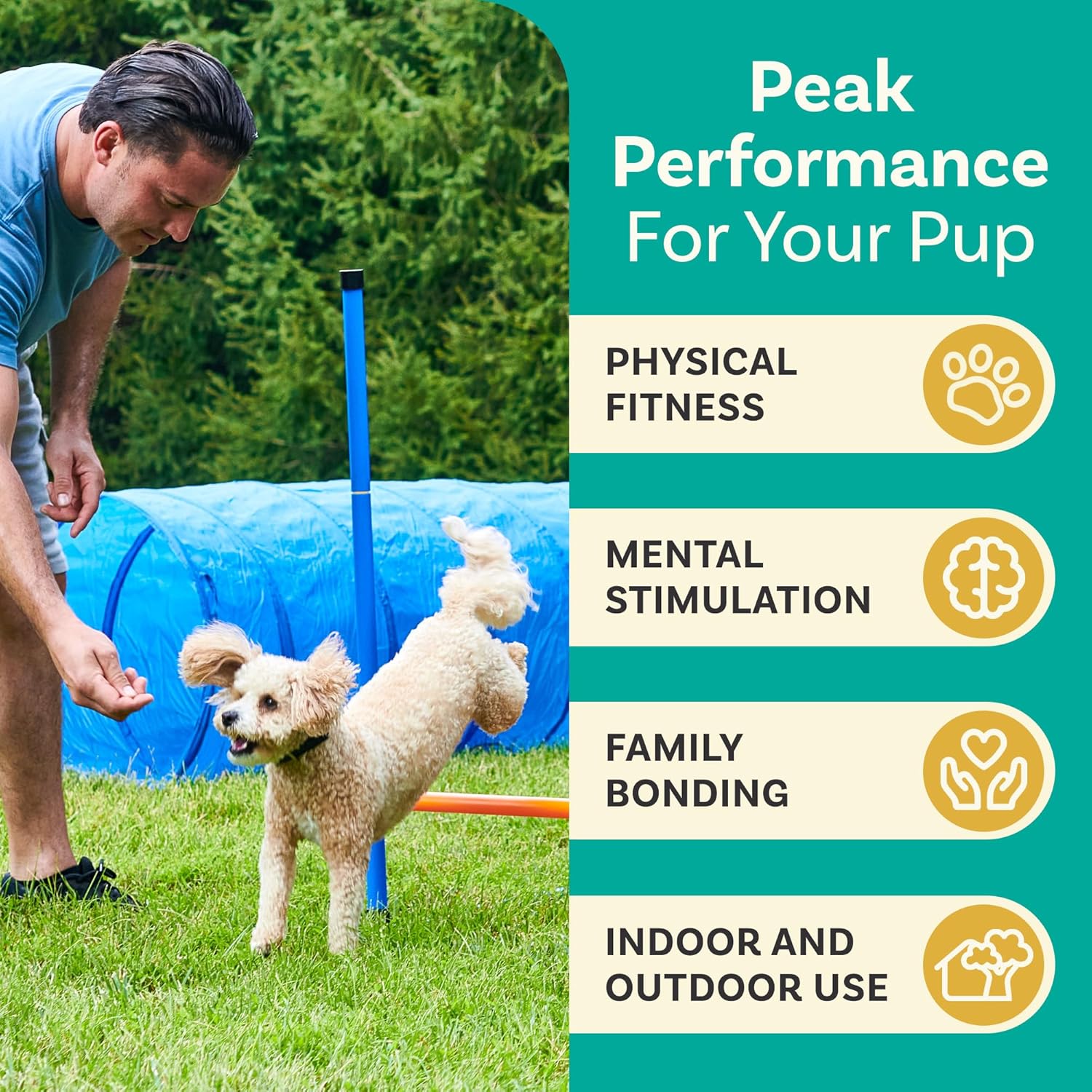Juego de campo de agilidad para perros, equipo de agilidad para perros, patio trasero de carrera de obstáculos para perros, equipo de entrenamiento