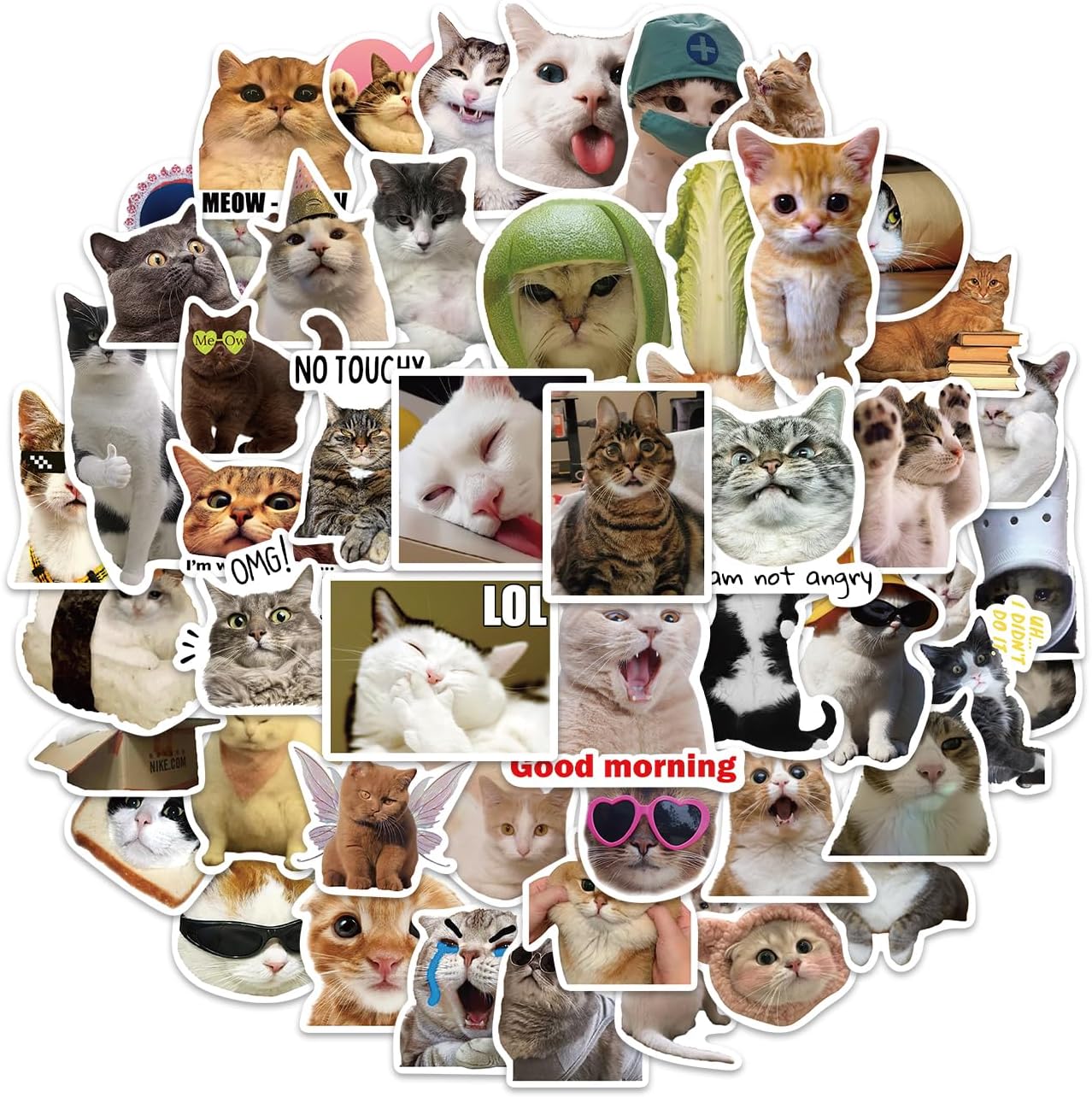 50 calcomanías de gatos bonitos, divertidas calcomanías de meme de gatos para niños, adolescentes y adultos, calcomanías de vinilo impermeables para